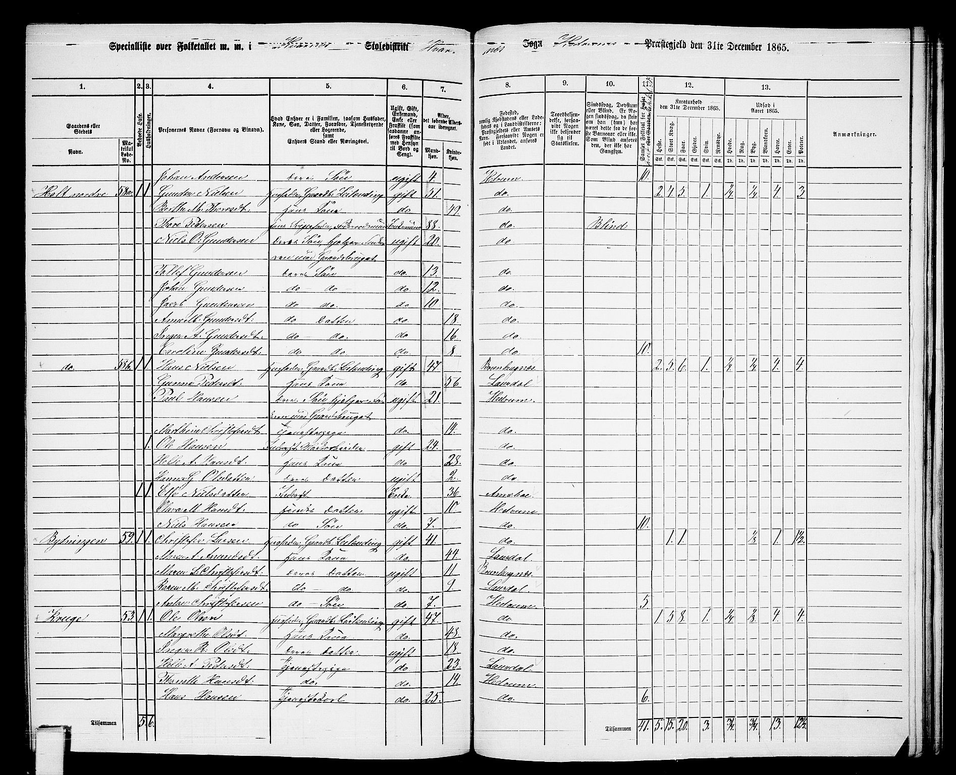 RA, 1865 census for Hedrum, 1865, p. 160