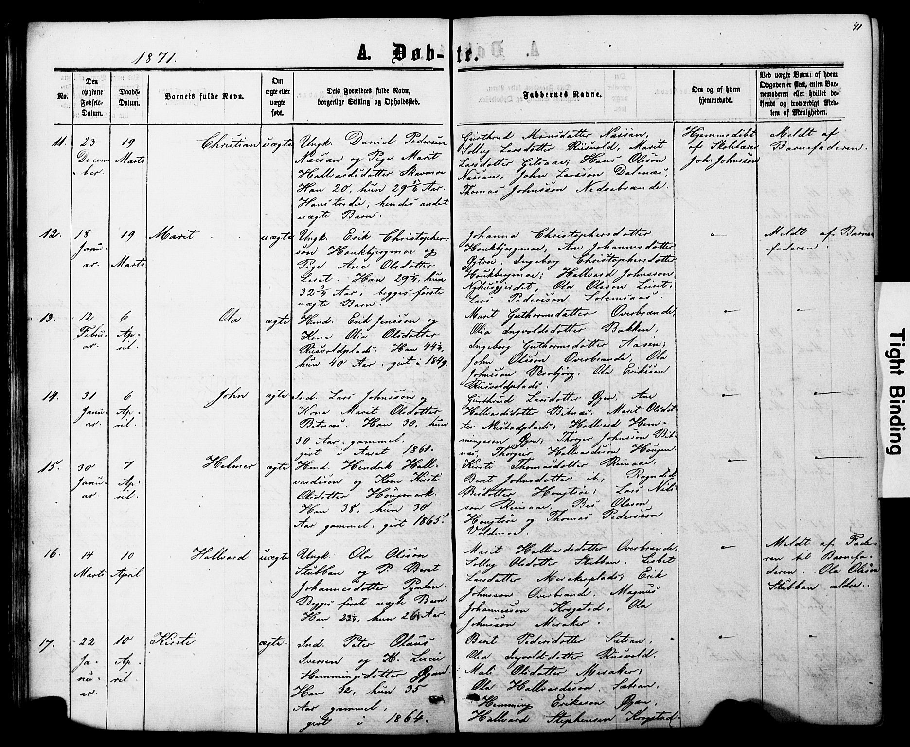 Ministerialprotokoller, klokkerbøker og fødselsregistre - Nord-Trøndelag, AV/SAT-A-1458/706/L0049: Parish register (copy) no. 706C01, 1864-1895, p. 41