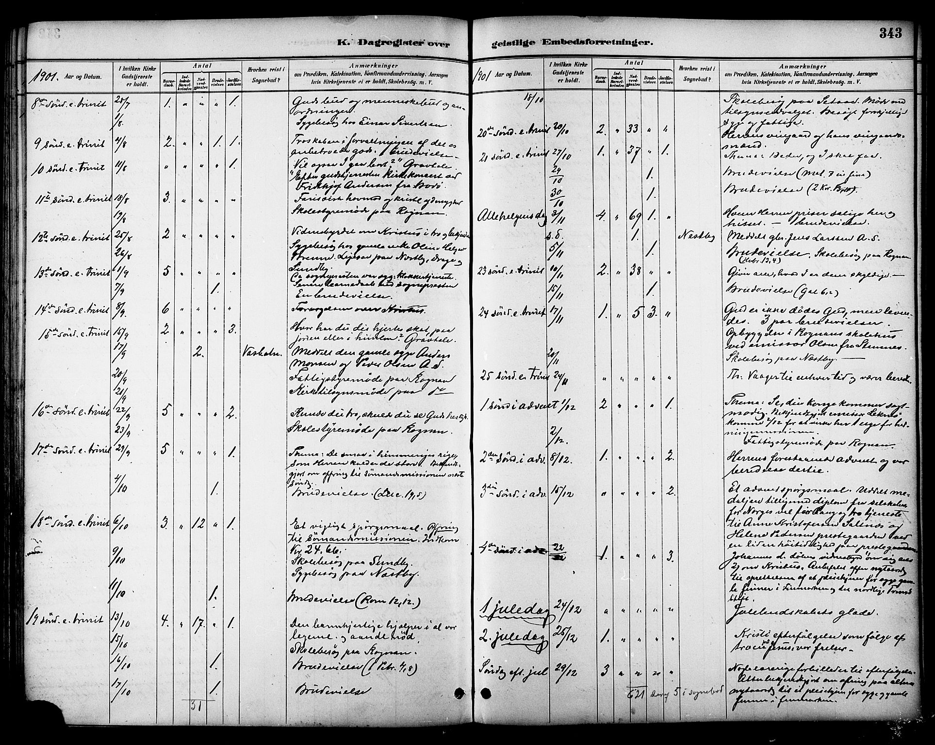 Ministerialprotokoller, klokkerbøker og fødselsregistre - Nordland, AV/SAT-A-1459/847/L0669: Parish register (official) no. 847A09, 1887-1901, p. 343