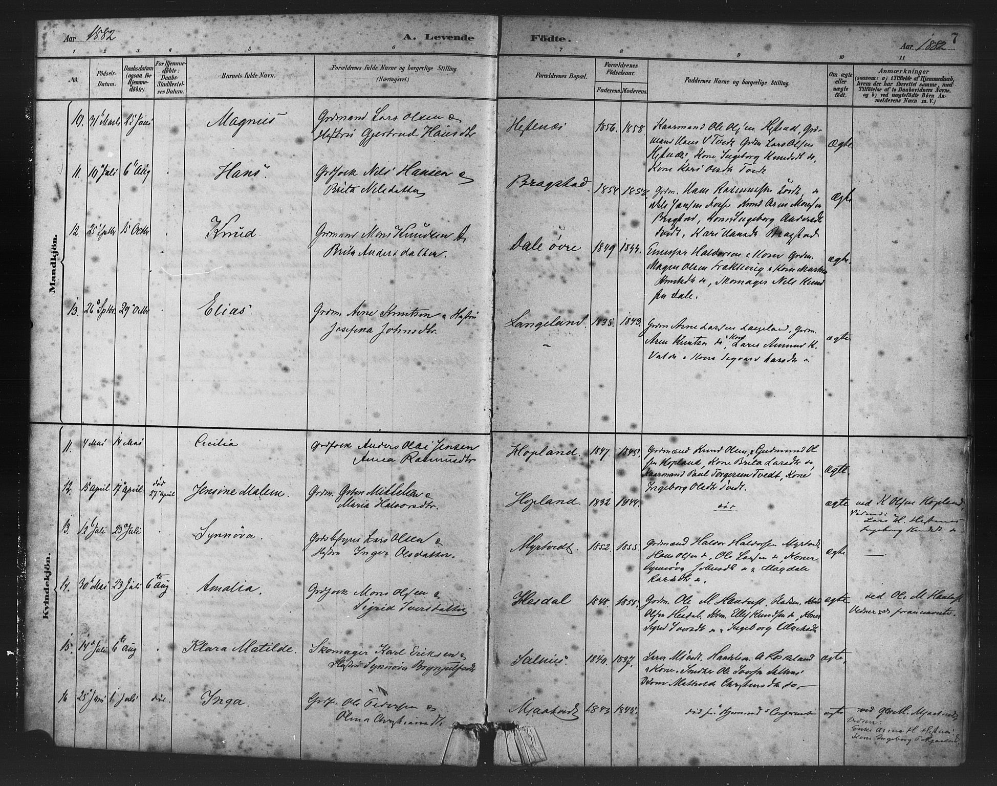 Alversund Sokneprestembete, AV/SAB-A-73901/H/Ha/Haa/Haac/L0001: Parish register (official) no. C 1, 1882-1900, p. 7