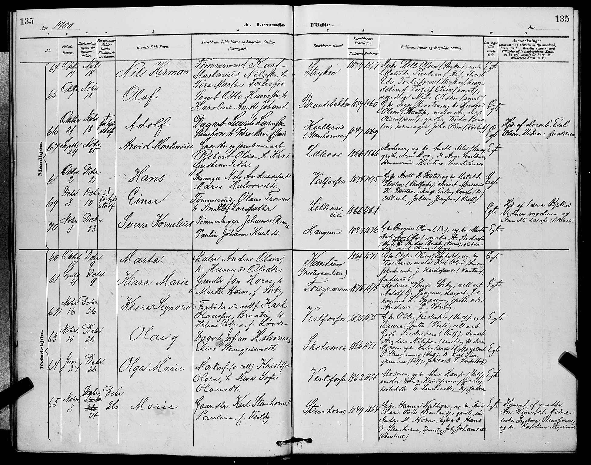 Eiker kirkebøker, SAKO/A-4/G/Ga/L0007: Parish register (copy) no. I 7, 1893-1902, p. 135