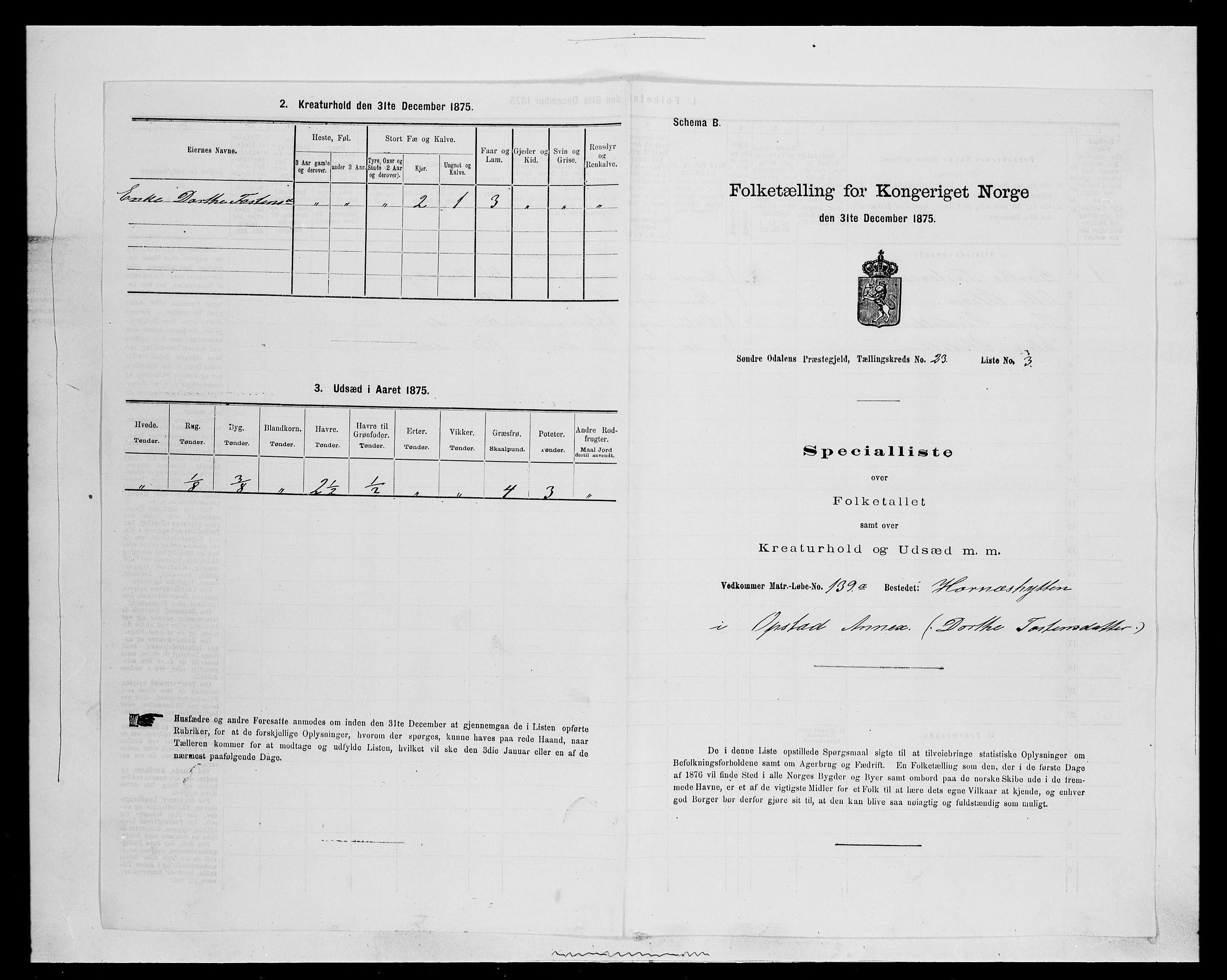 SAH, 1875 census for 0419P Sør-Odal, 1875, p. 1928