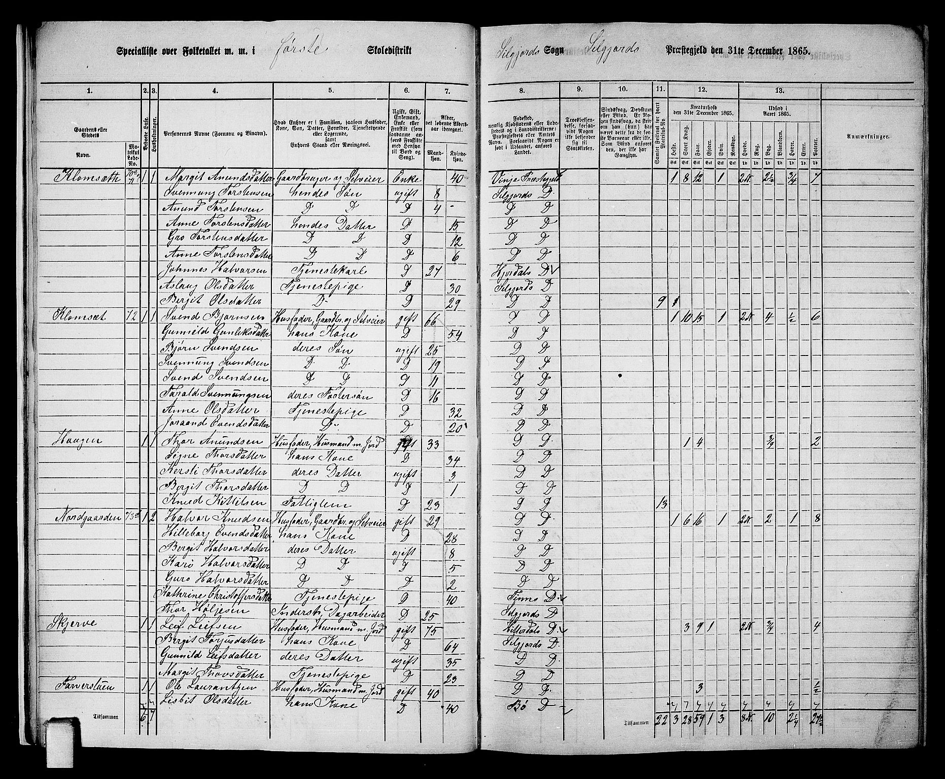 RA, 1865 census for Seljord, 1865, p. 15