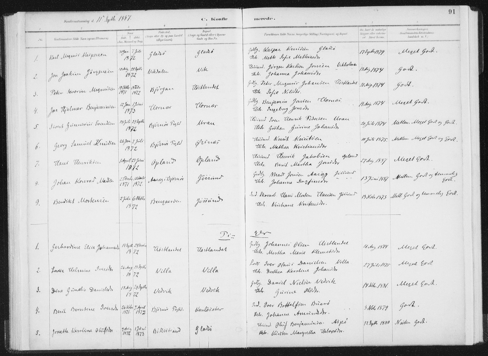 Ministerialprotokoller, klokkerbøker og fødselsregistre - Nord-Trøndelag, SAT/A-1458/771/L0597: Parish register (official) no. 771A04, 1885-1910, p. 91