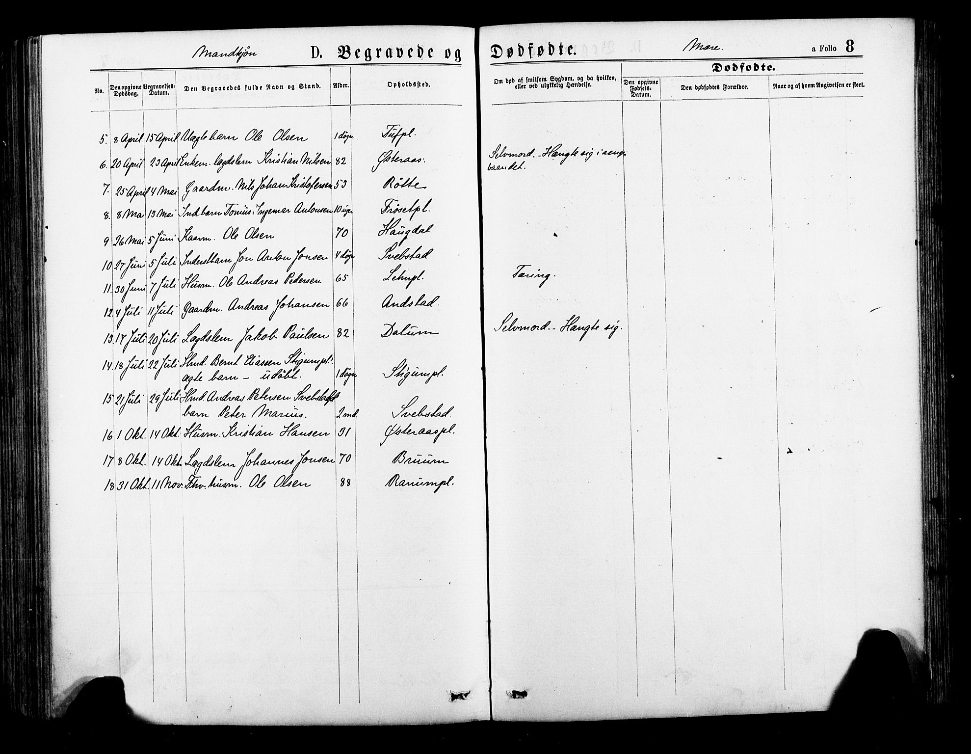 Ministerialprotokoller, klokkerbøker og fødselsregistre - Nord-Trøndelag, SAT/A-1458/735/L0348: Parish register (official) no. 735A09 /1, 1873-1883, p. 8