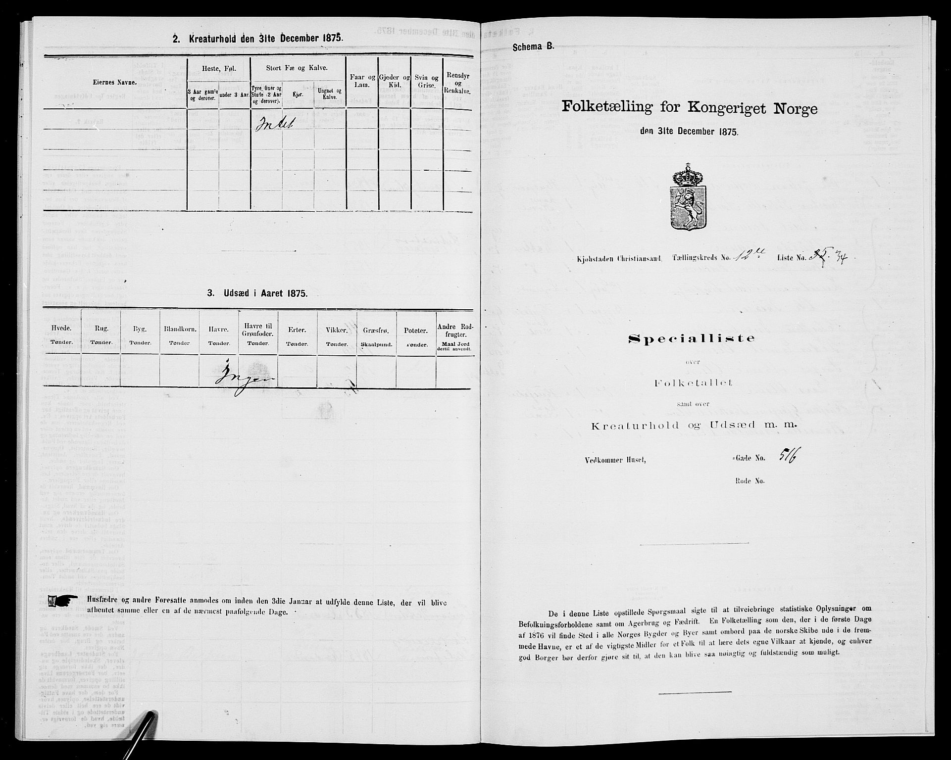 SAK, 1875 census for 1001P Kristiansand, 1875, p. 1996