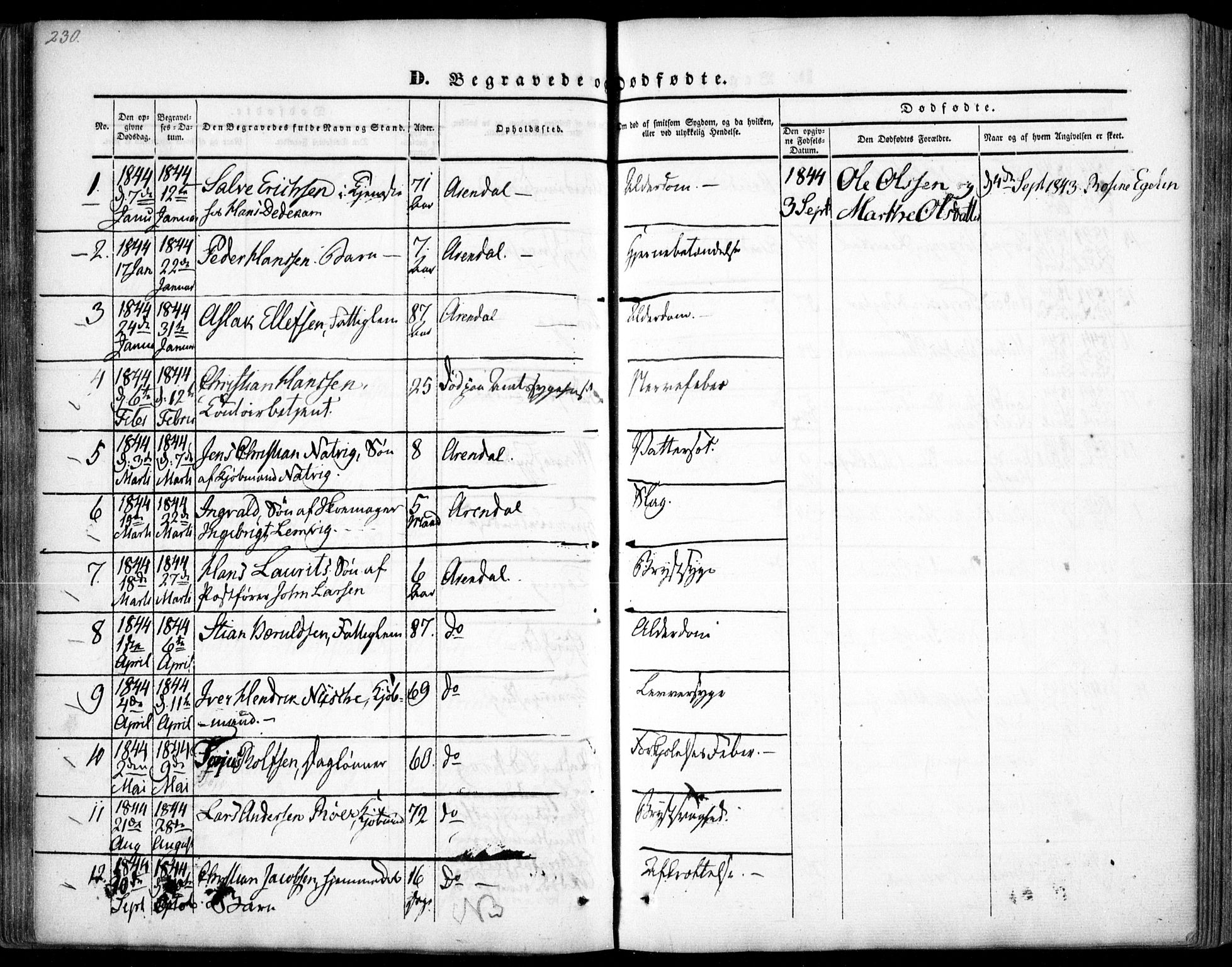 Arendal sokneprestkontor, Trefoldighet, AV/SAK-1111-0040/F/Fa/L0005: Parish register (official) no. A 5, 1838-1854, p. 230
