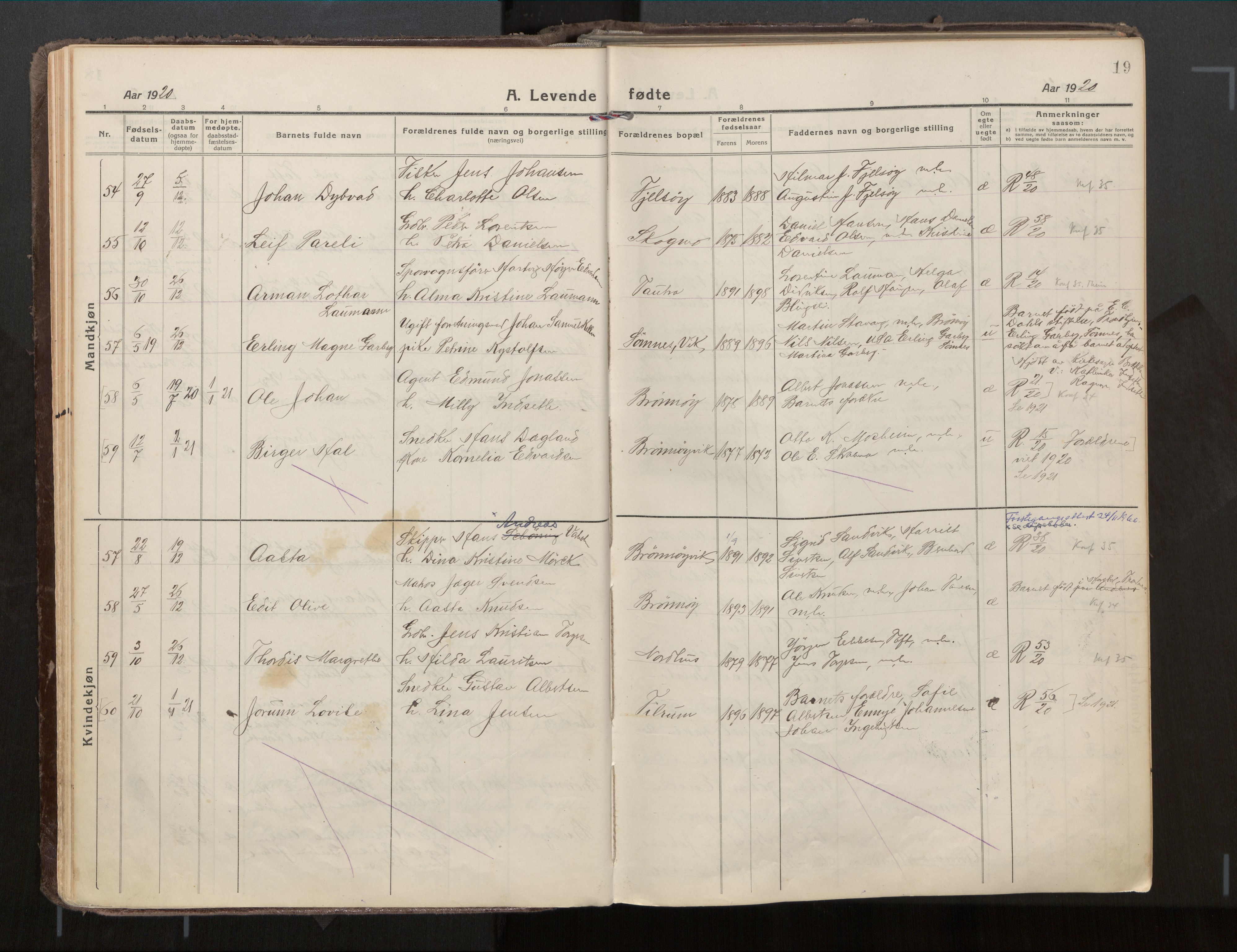 Ministerialprotokoller, klokkerbøker og fødselsregistre - Nordland, SAT/A-1459/813/L0207a: Parish register (official) no. 813A18, 1919-1927, p. 19
