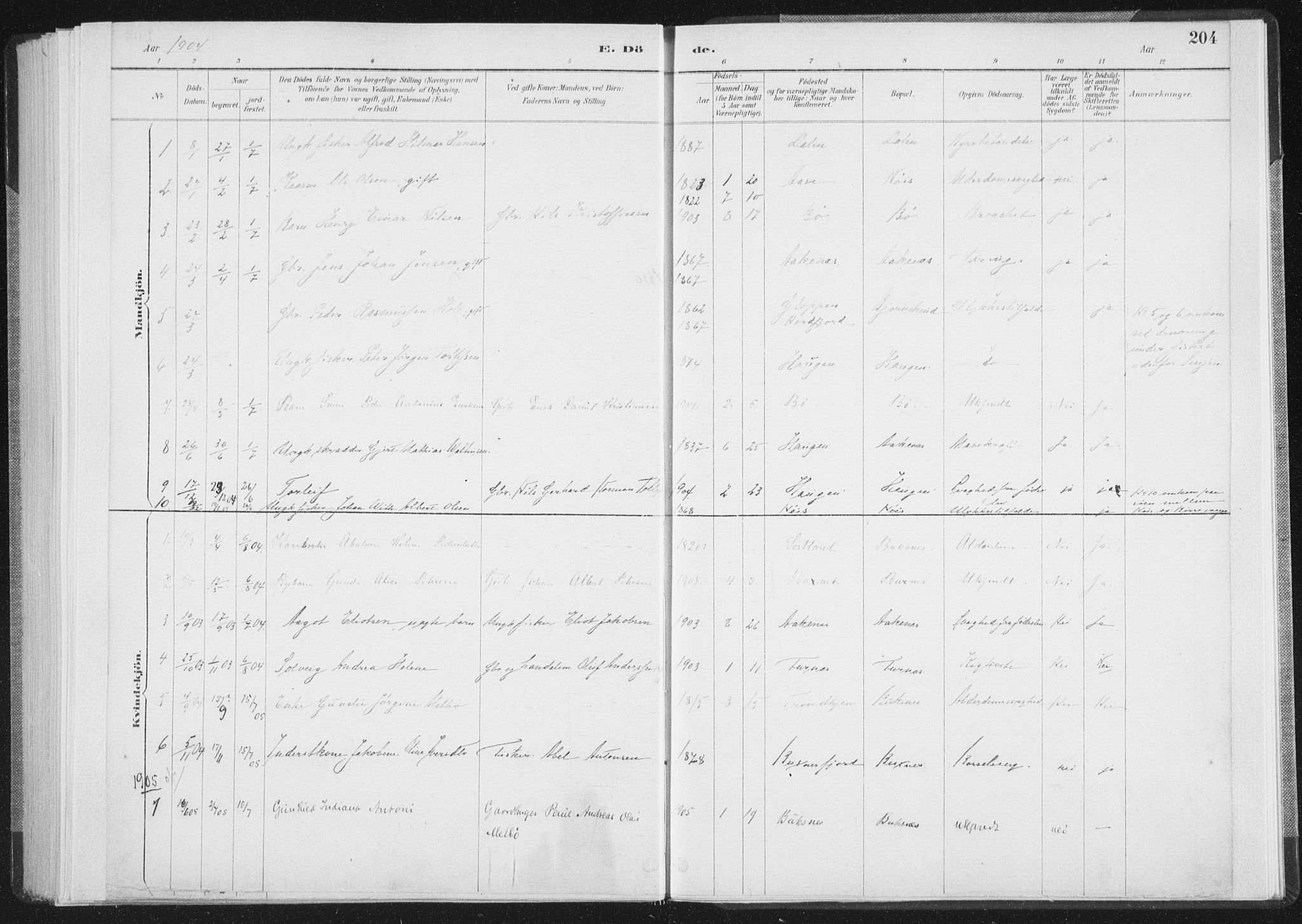 Ministerialprotokoller, klokkerbøker og fødselsregistre - Nordland, AV/SAT-A-1459/898/L1422: Parish register (official) no. 898A02, 1887-1908, p. 204