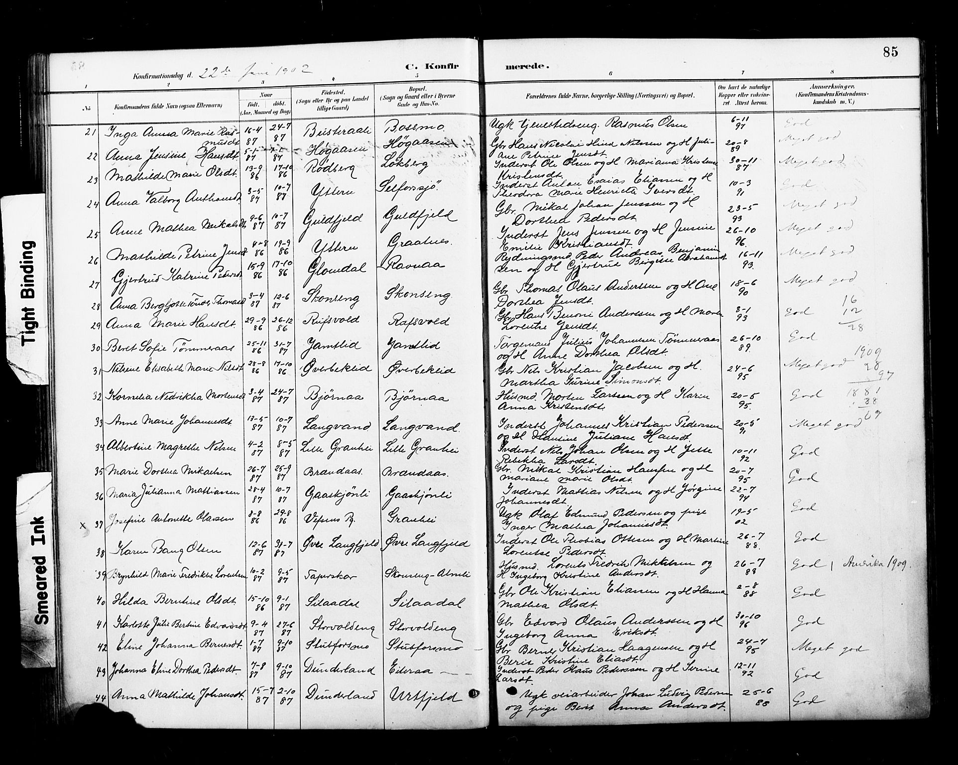 Ministerialprotokoller, klokkerbøker og fødselsregistre - Nordland, AV/SAT-A-1459/827/L0401: Parish register (official) no. 827A13, 1887-1905, p. 85