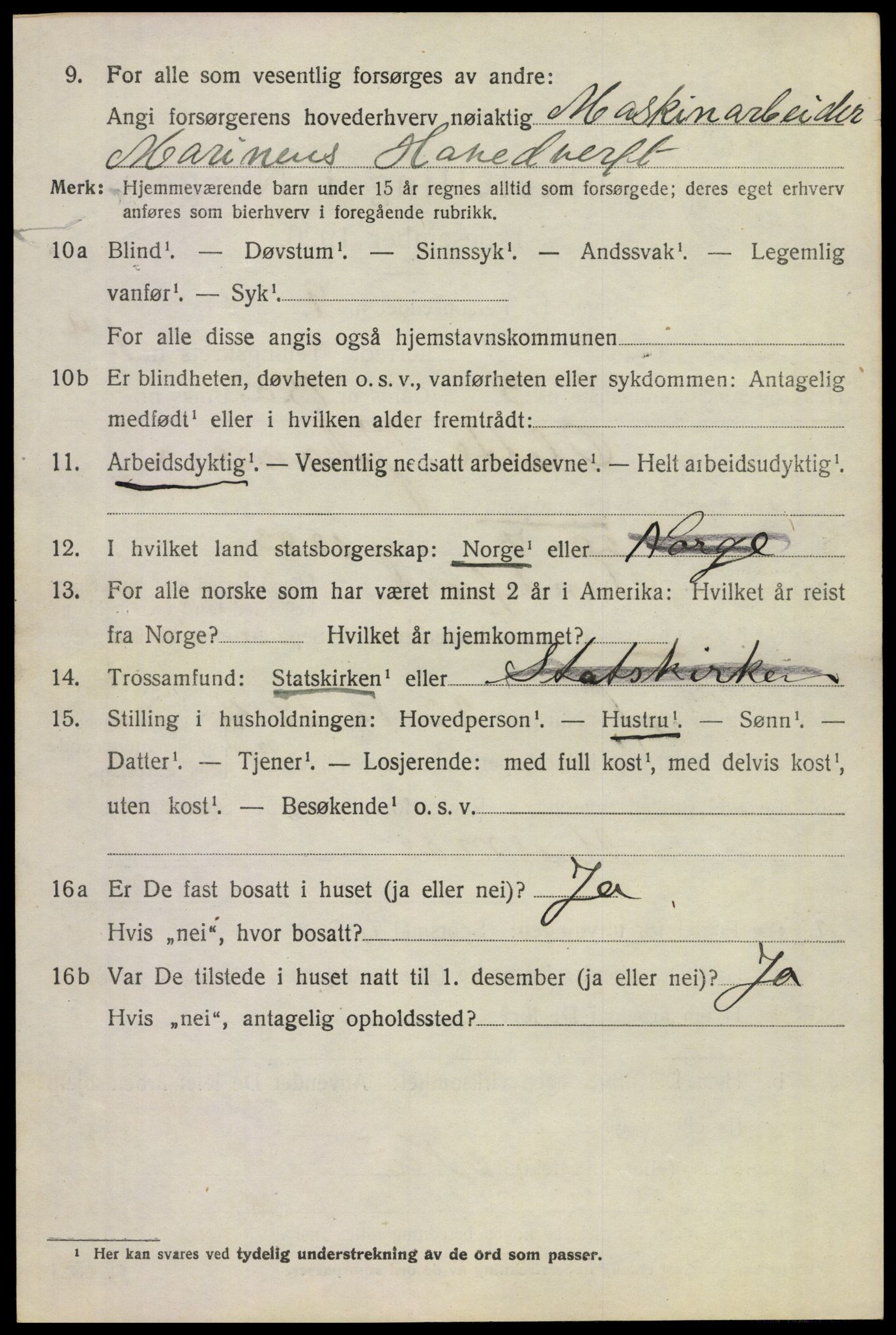 SAKO, 1920 census for Borre, 1920, p. 1425