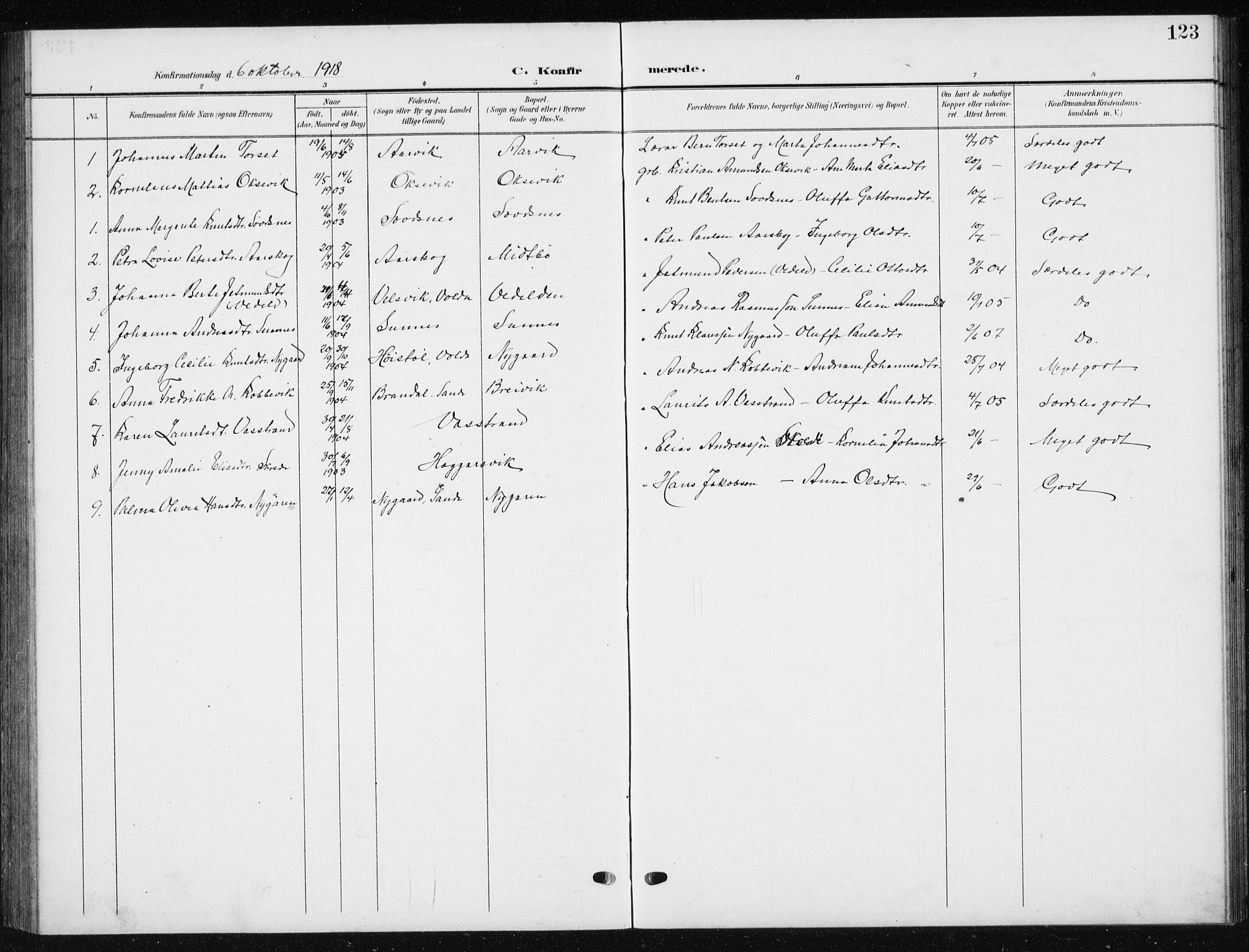 Ministerialprotokoller, klokkerbøker og fødselsregistre - Møre og Romsdal, AV/SAT-A-1454/504/L0061: Parish register (copy) no. 504C03, 1902-1940, p. 123