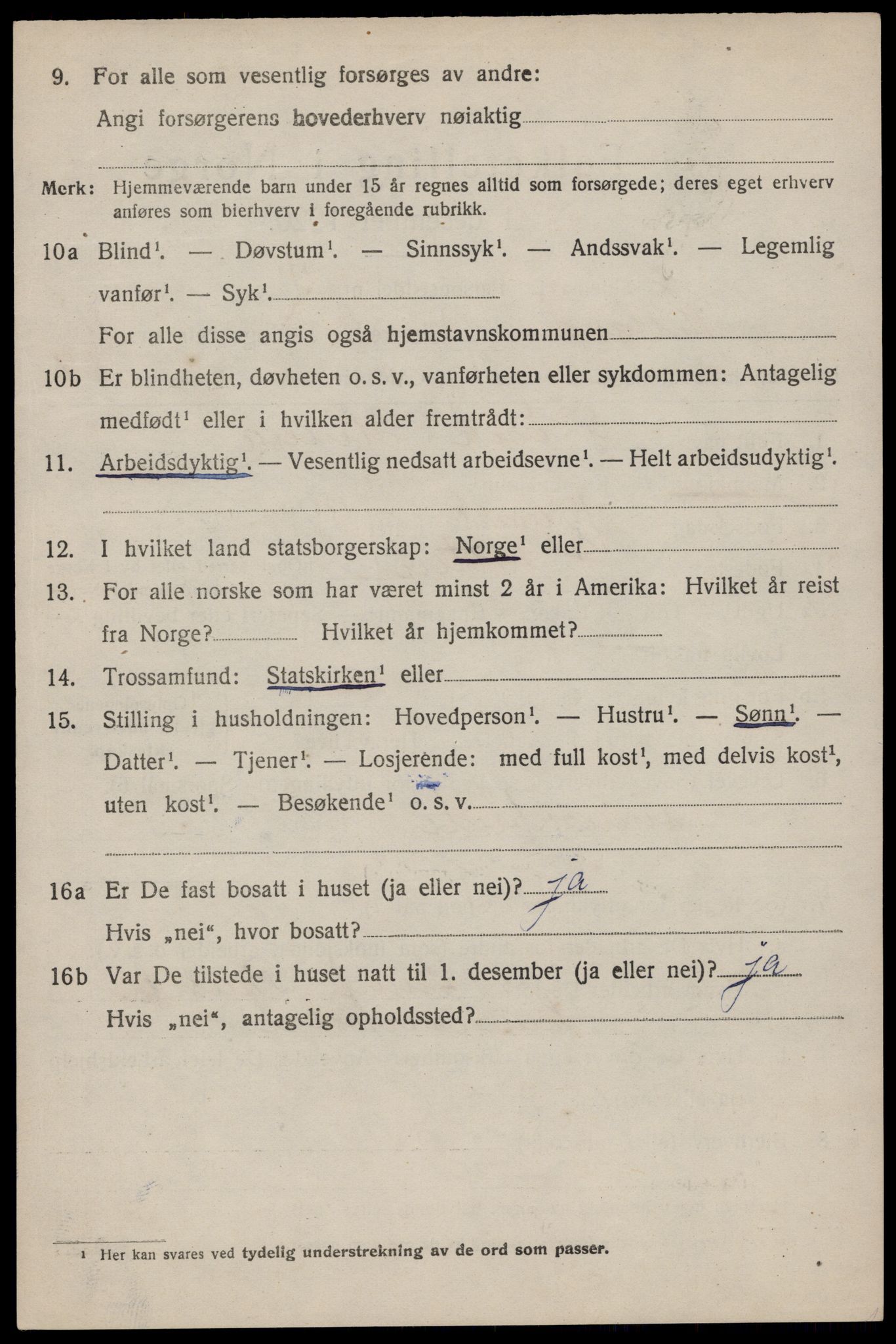 SAST, 1920 census for Hetland, 1920, p. 19954