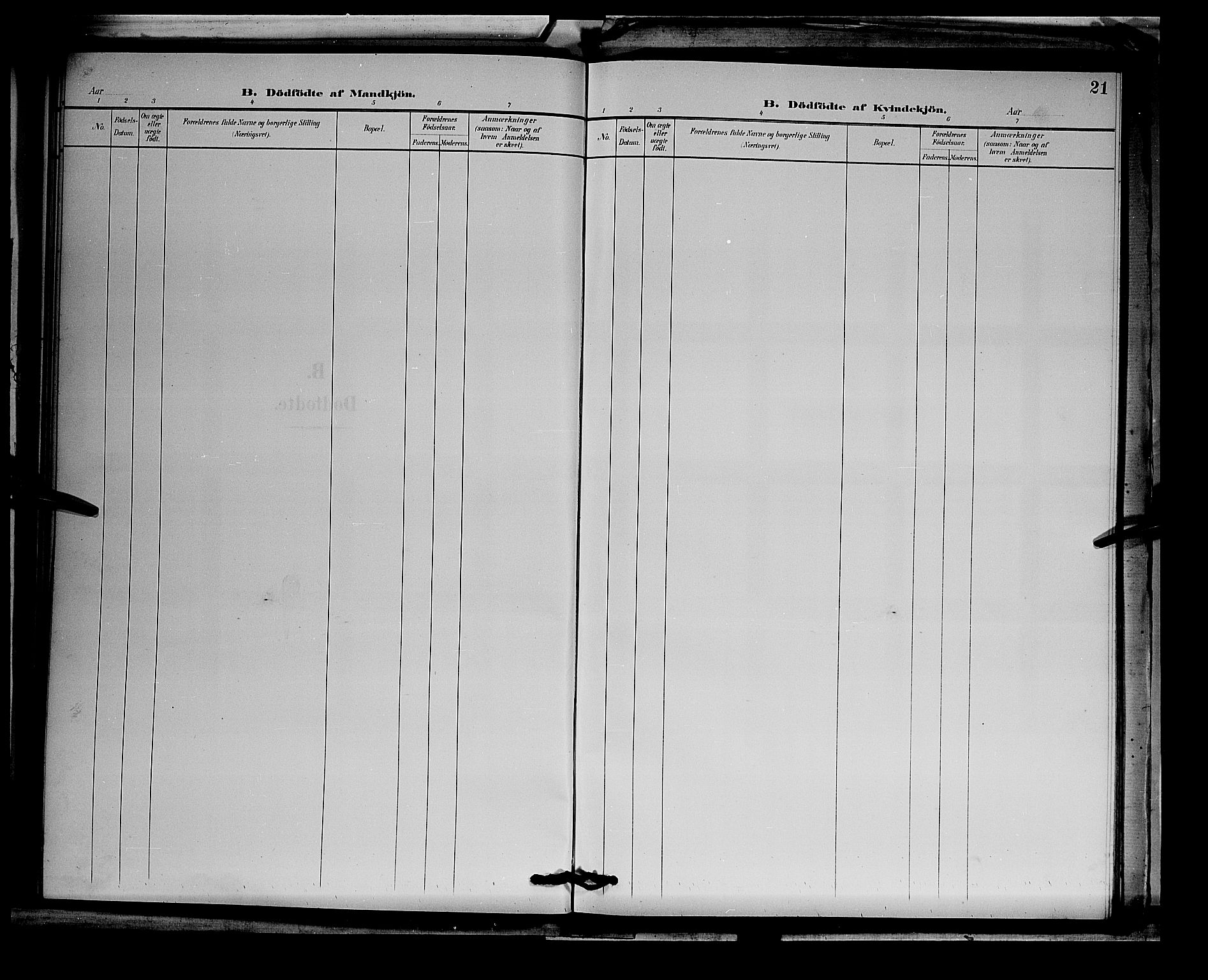 Sør-Odal prestekontor, AV/SAH-PREST-030/H/Ha/Hab/L0003: Parish register (copy) no. 3, 1895-1906, p. 21