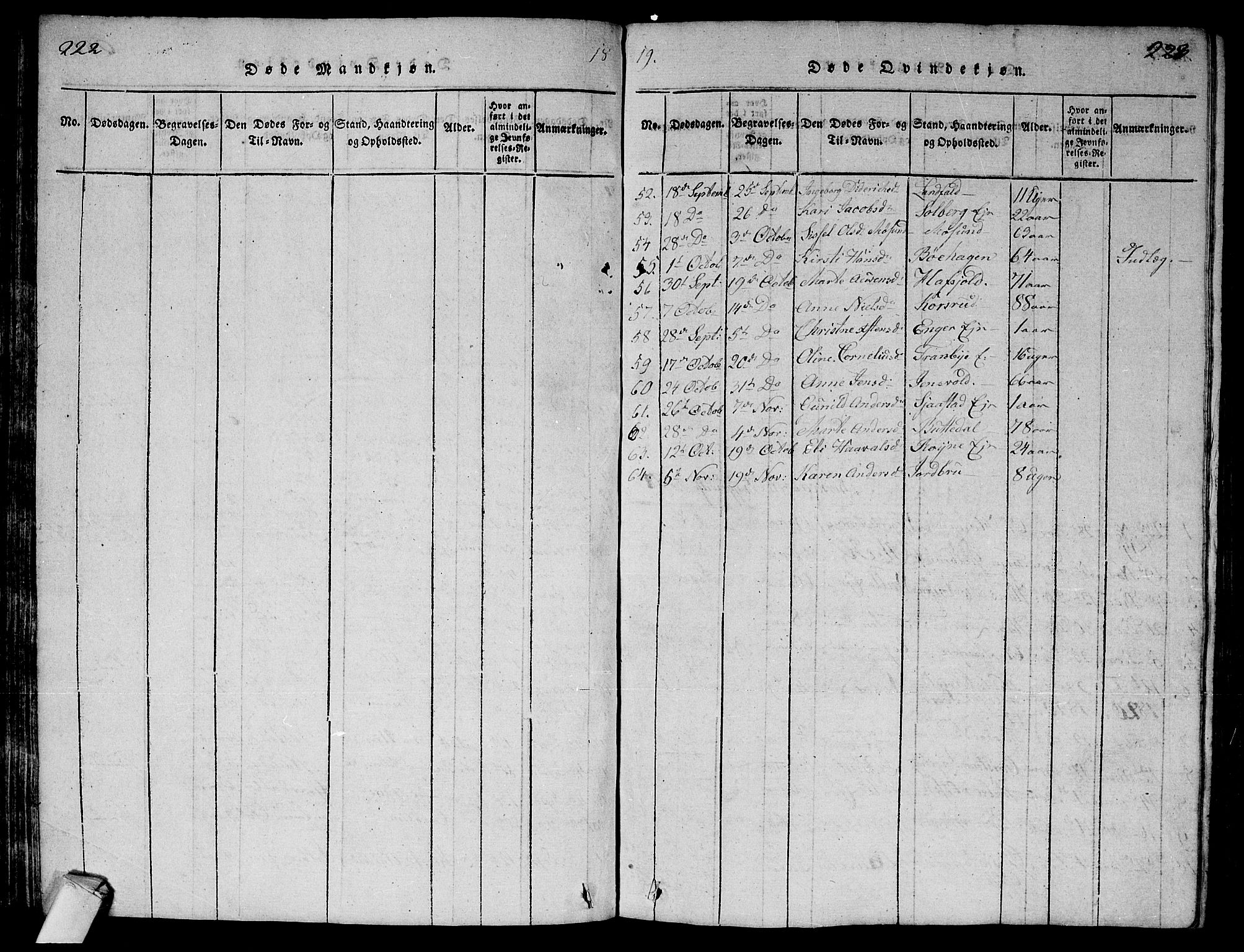 Lier kirkebøker, AV/SAKO-A-230/G/Ga/L0001: Parish register (copy) no. I 1, 1813-1824, p. 222-223