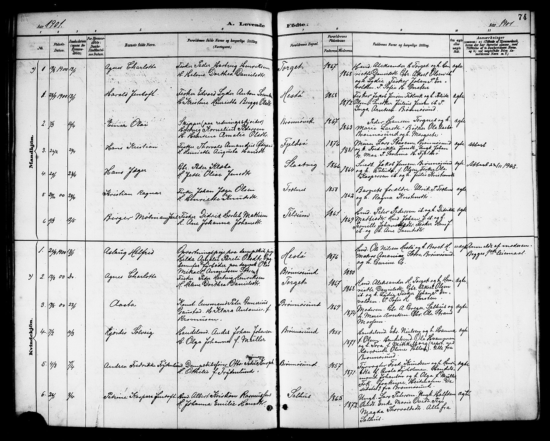 Ministerialprotokoller, klokkerbøker og fødselsregistre - Nordland, SAT/A-1459/813/L0213: Parish register (copy) no. 813C05, 1887-1903, p. 74