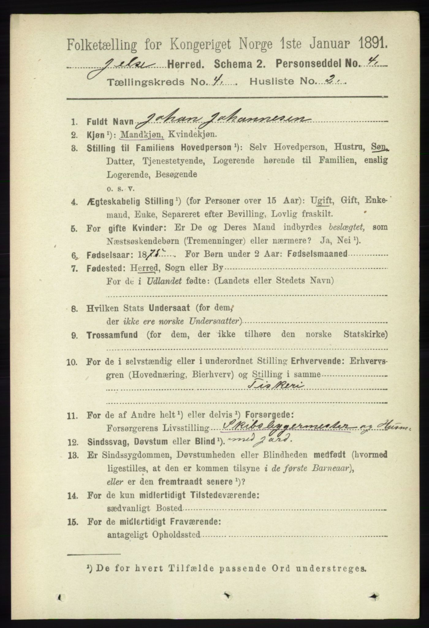 RA, 1891 census for 1138 Jelsa, 1891, p. 713