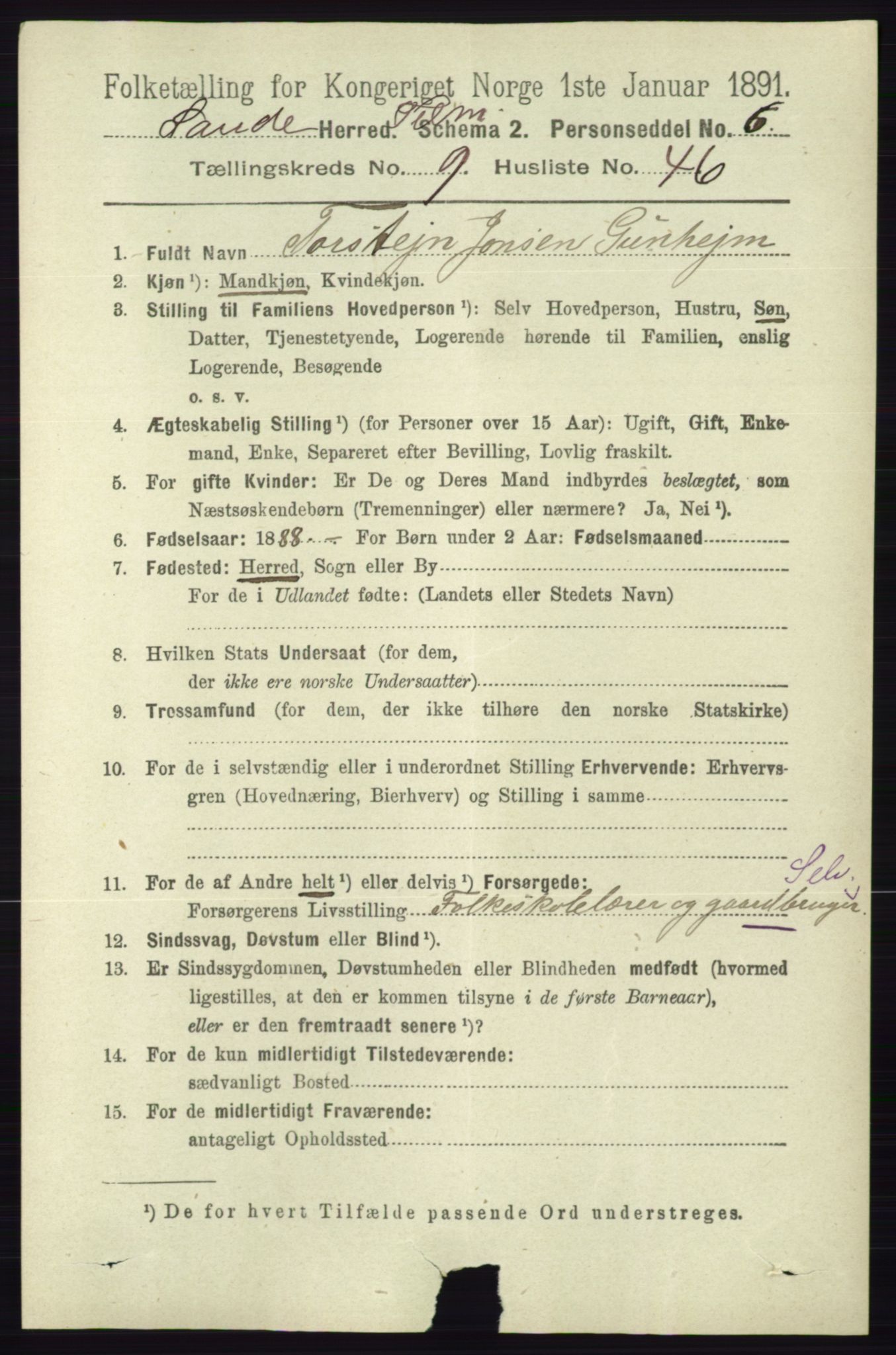 RA, 1891 census for 0822 Sauherad, 1891, p. 2929