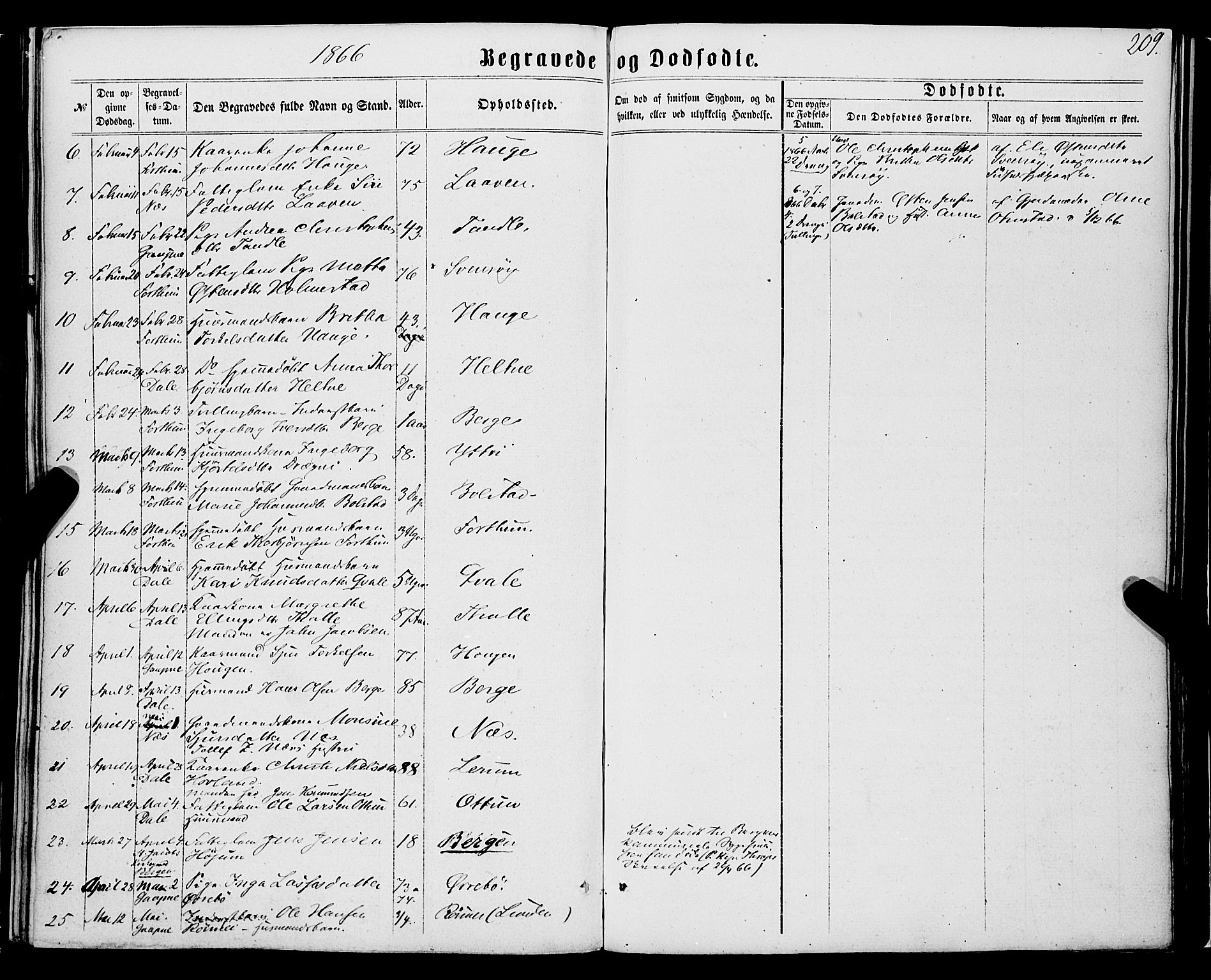 Luster sokneprestembete, SAB/A-81101/H/Haa/Haaa/L0008: Parish register (official) no. A 8, 1860-1870, p. 209