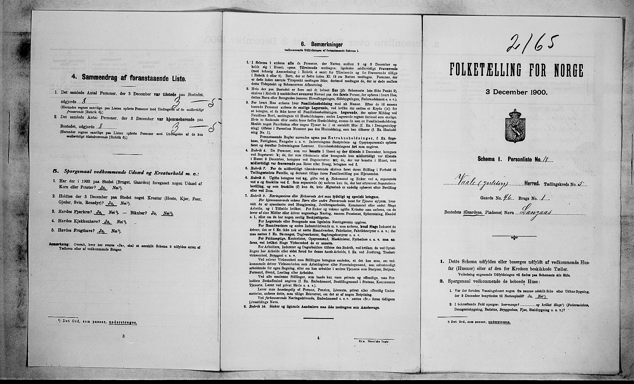 RA, 1900 census for Våle, 1900, p. 598