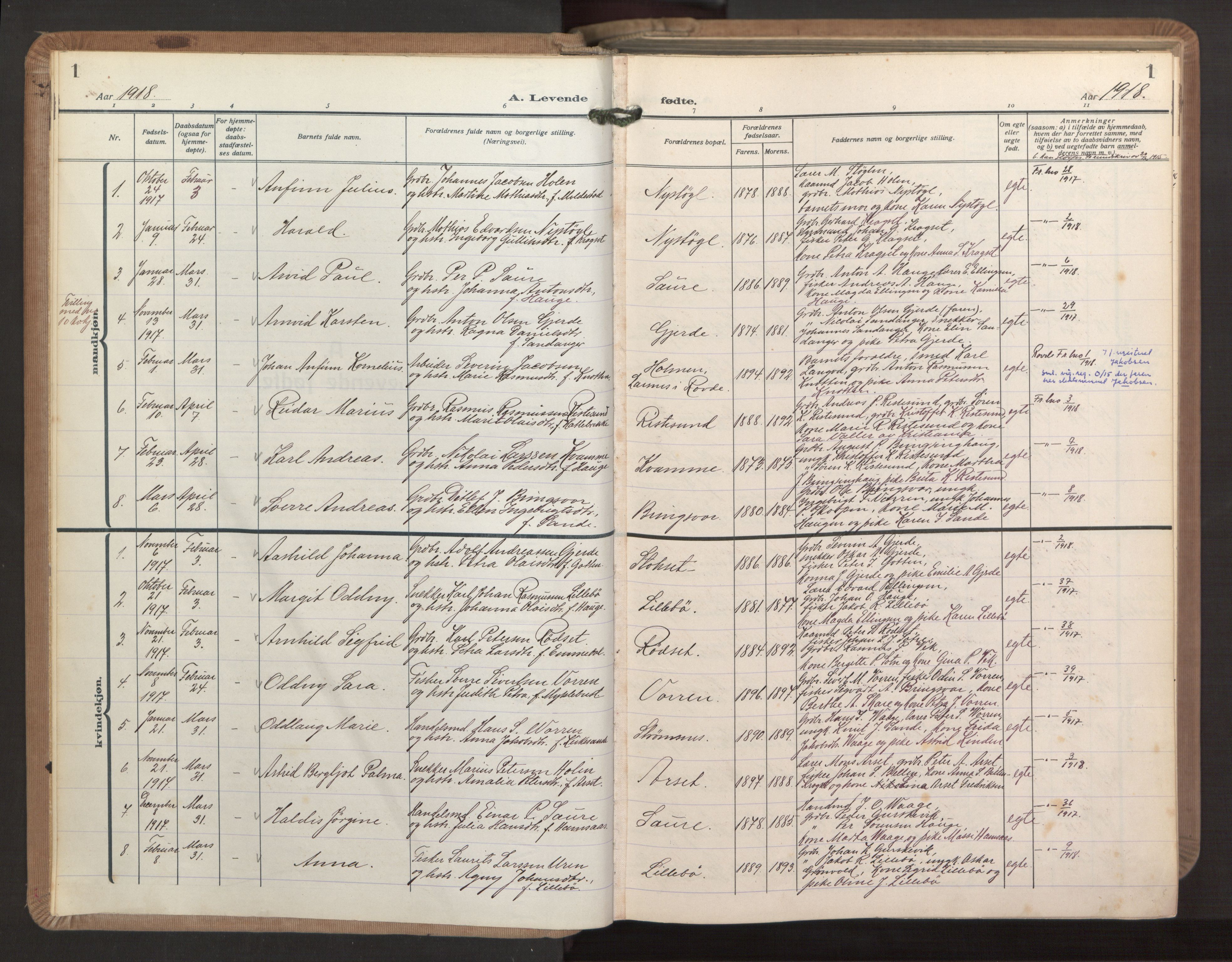 Ministerialprotokoller, klokkerbøker og fødselsregistre - Møre og Romsdal, AV/SAT-A-1454/503/L0044: Parish register (official) no. 503A12, 1918-1931, p. 1