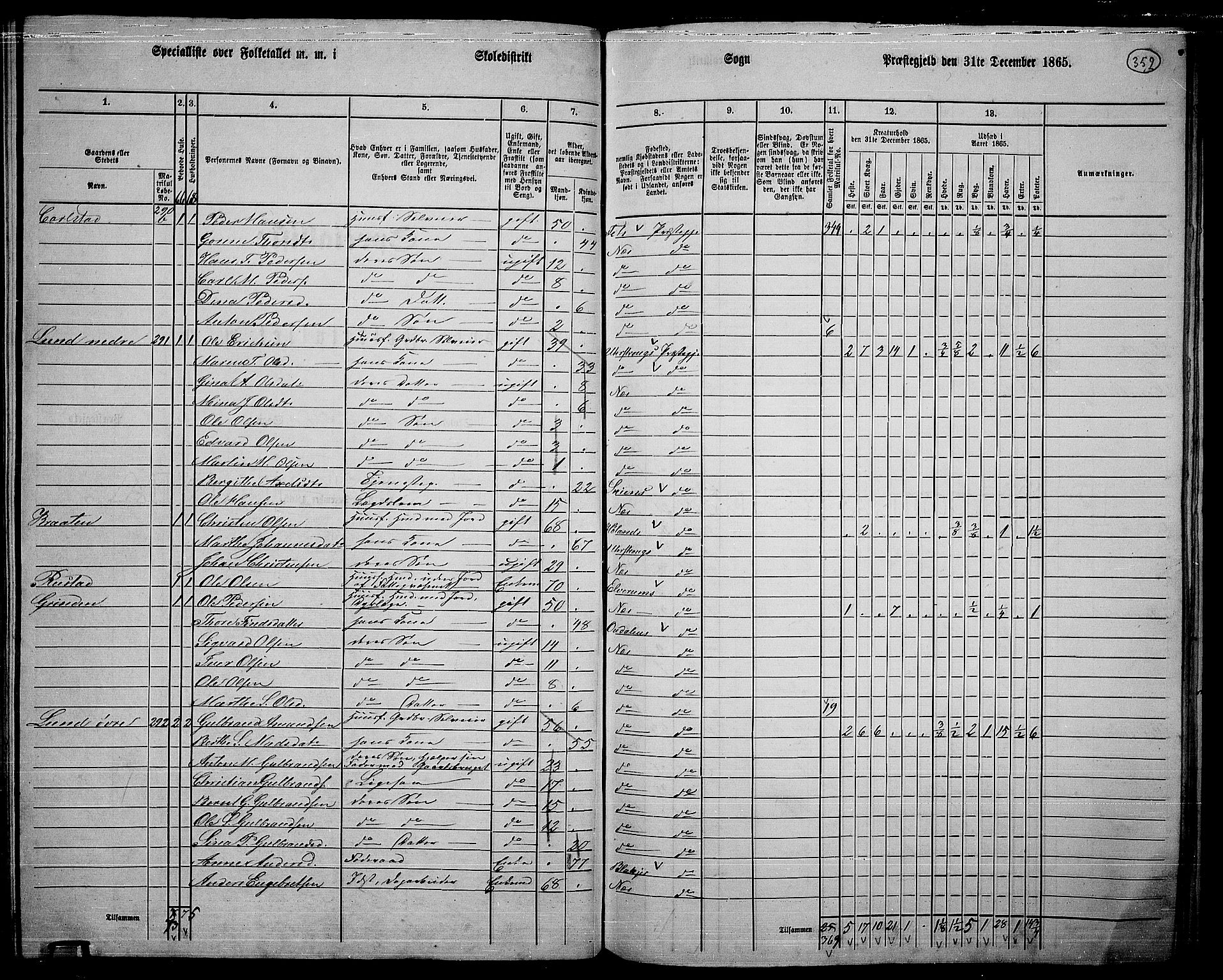 RA, 1865 census for Nes, 1865, p. 323