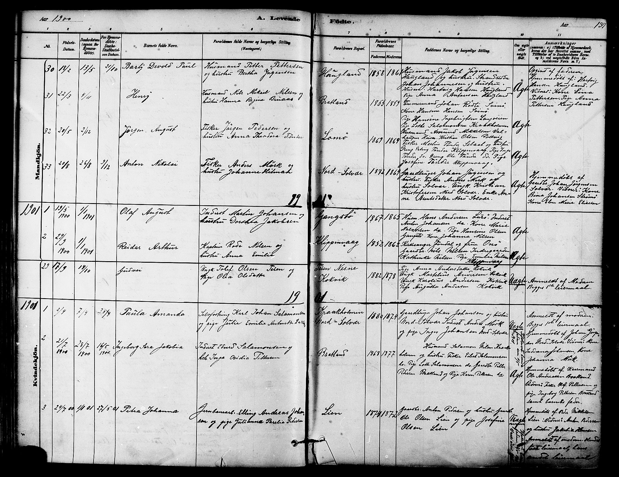 Ministerialprotokoller, klokkerbøker og fødselsregistre - Nordland, SAT/A-1459/839/L0568: Parish register (official) no. 839A05, 1880-1902, p. 137