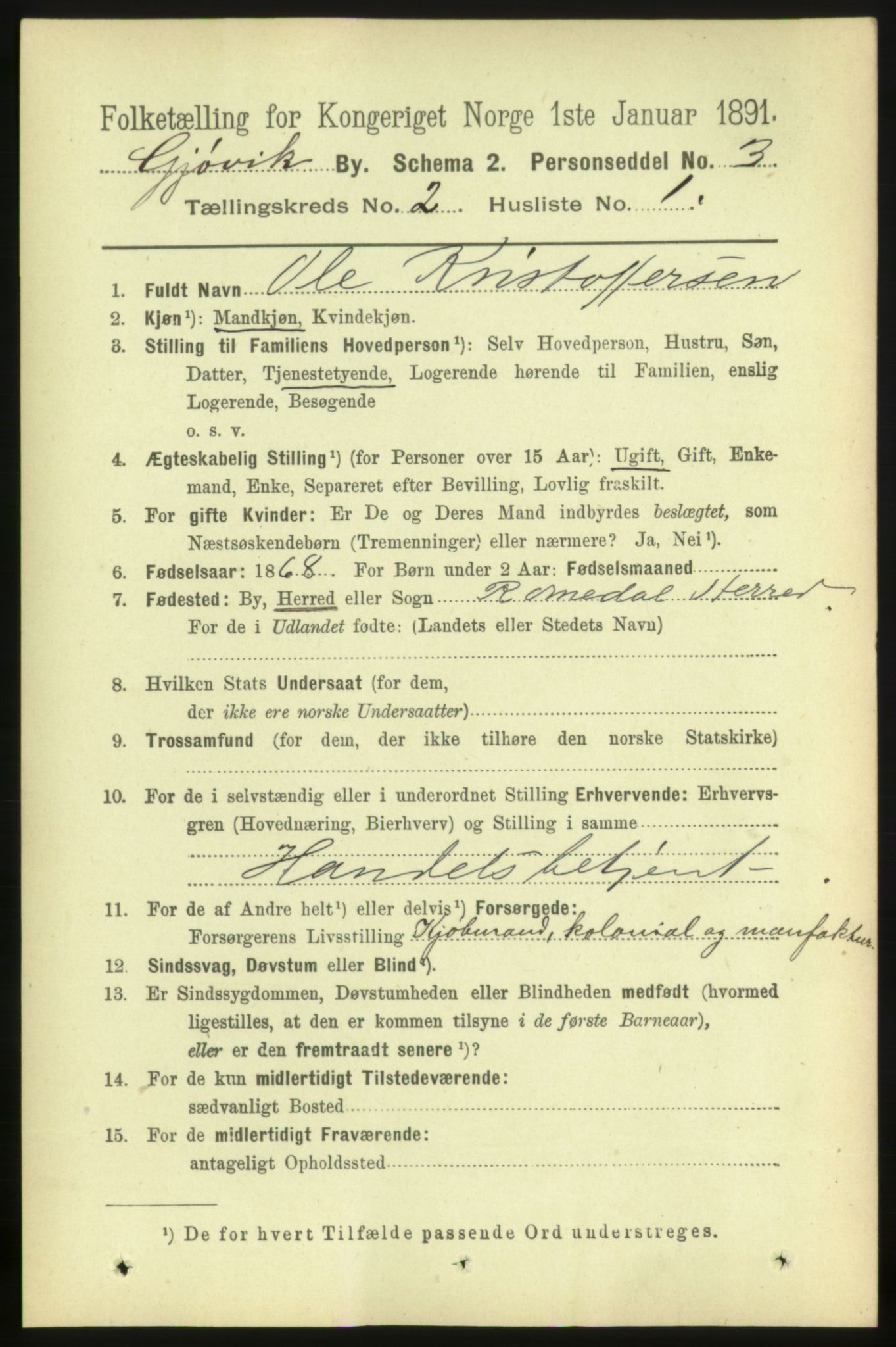 RA, 1891 census for 0502 Gjøvik, 1891, p. 678