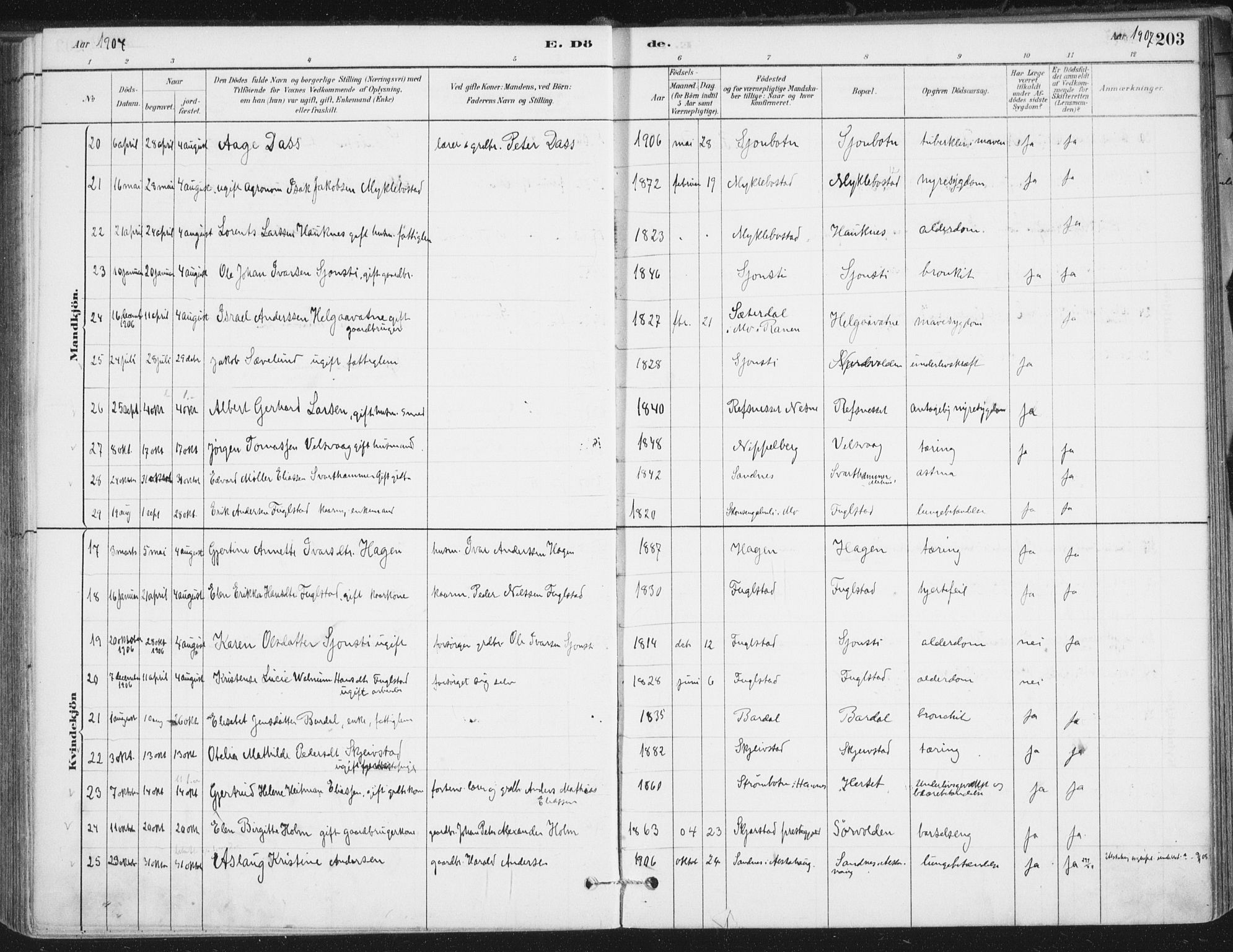 Ministerialprotokoller, klokkerbøker og fødselsregistre - Nordland, AV/SAT-A-1459/838/L0553: Parish register (official) no. 838A11, 1880-1910, p. 203