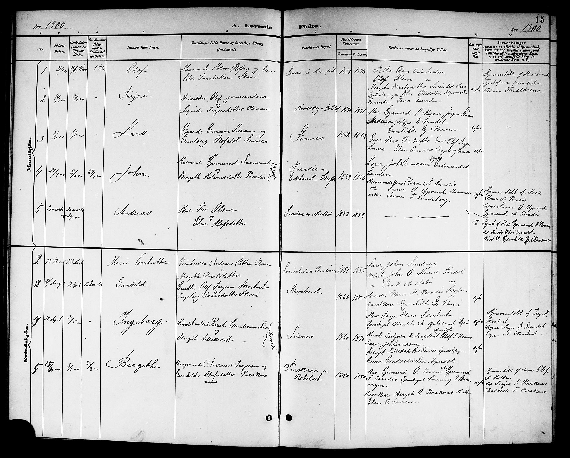 Kviteseid kirkebøker, SAKO/A-276/G/Gc/L0001: Parish register (copy) no. III 1, 1893-1916, p. 15