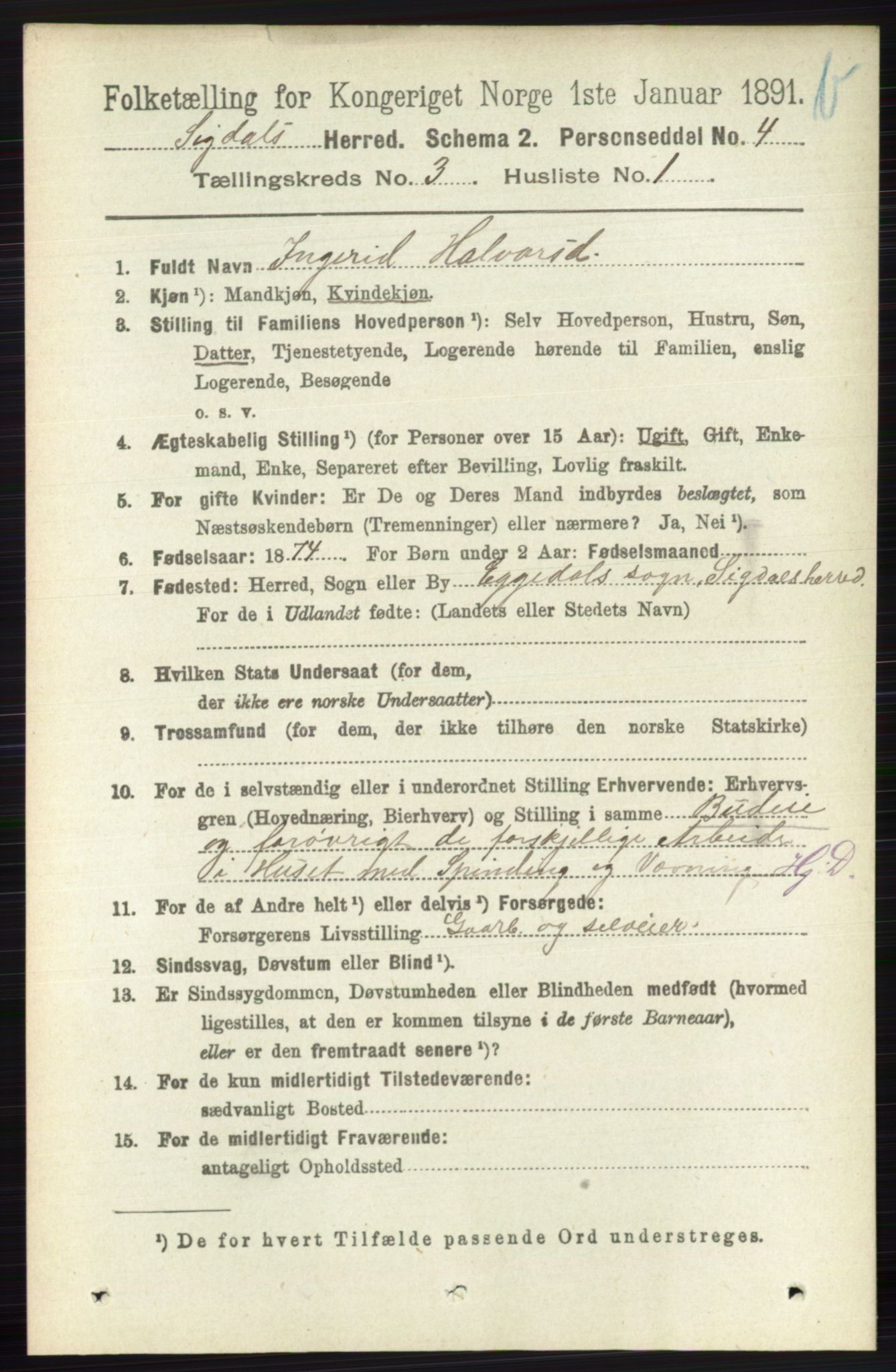 RA, 1891 census for 0621 Sigdal, 1891, p. 4309