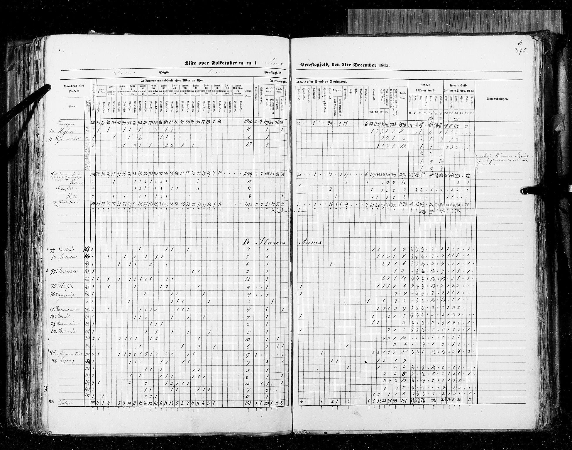 RA, Census 1845, vol. 4: Buskerud amt og Jarlsberg og Larvik amt, 1845, p. 370