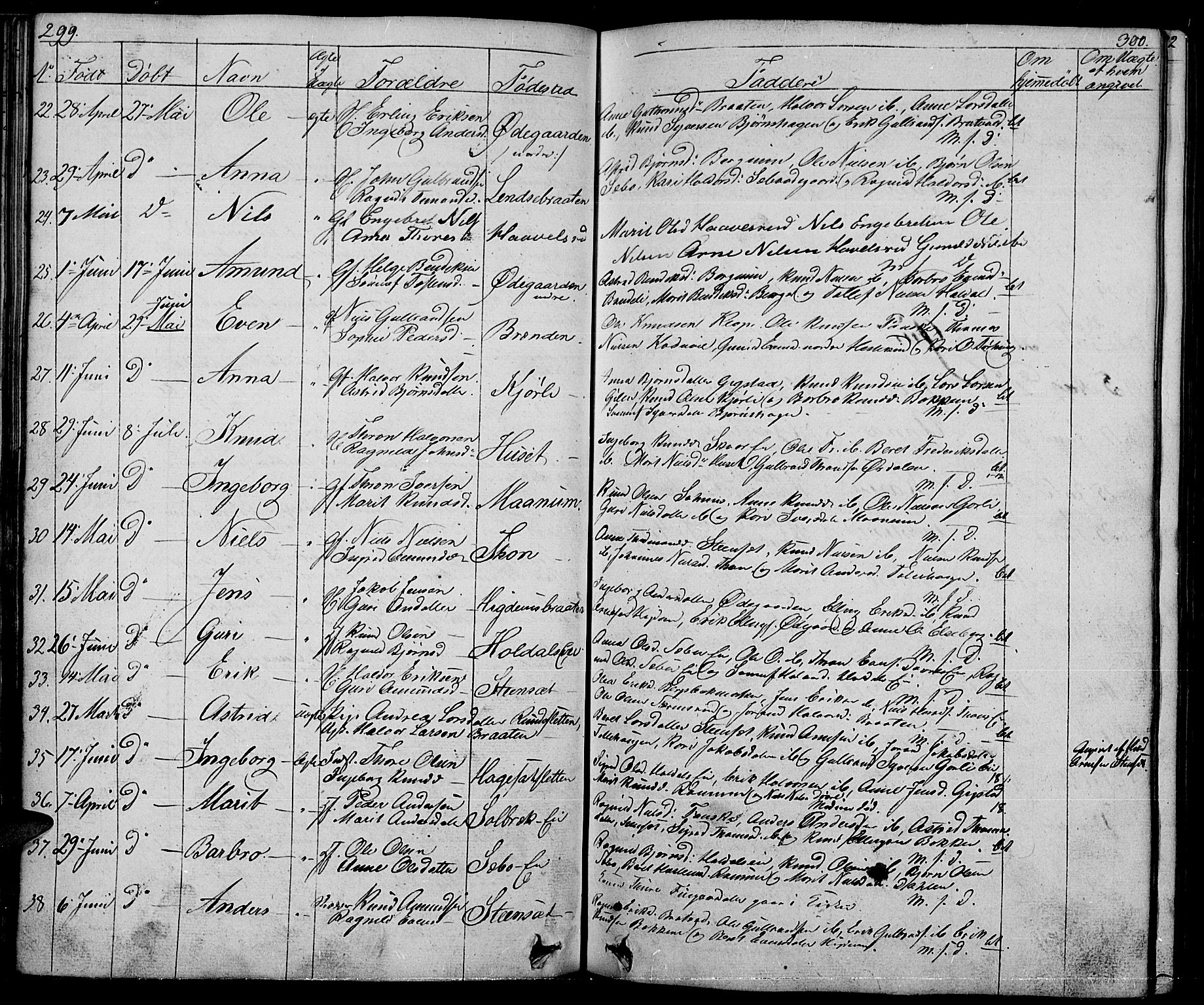 Nord-Aurdal prestekontor, AV/SAH-PREST-132/H/Ha/Hab/L0001: Parish register (copy) no. 1, 1834-1887, p. 299-300