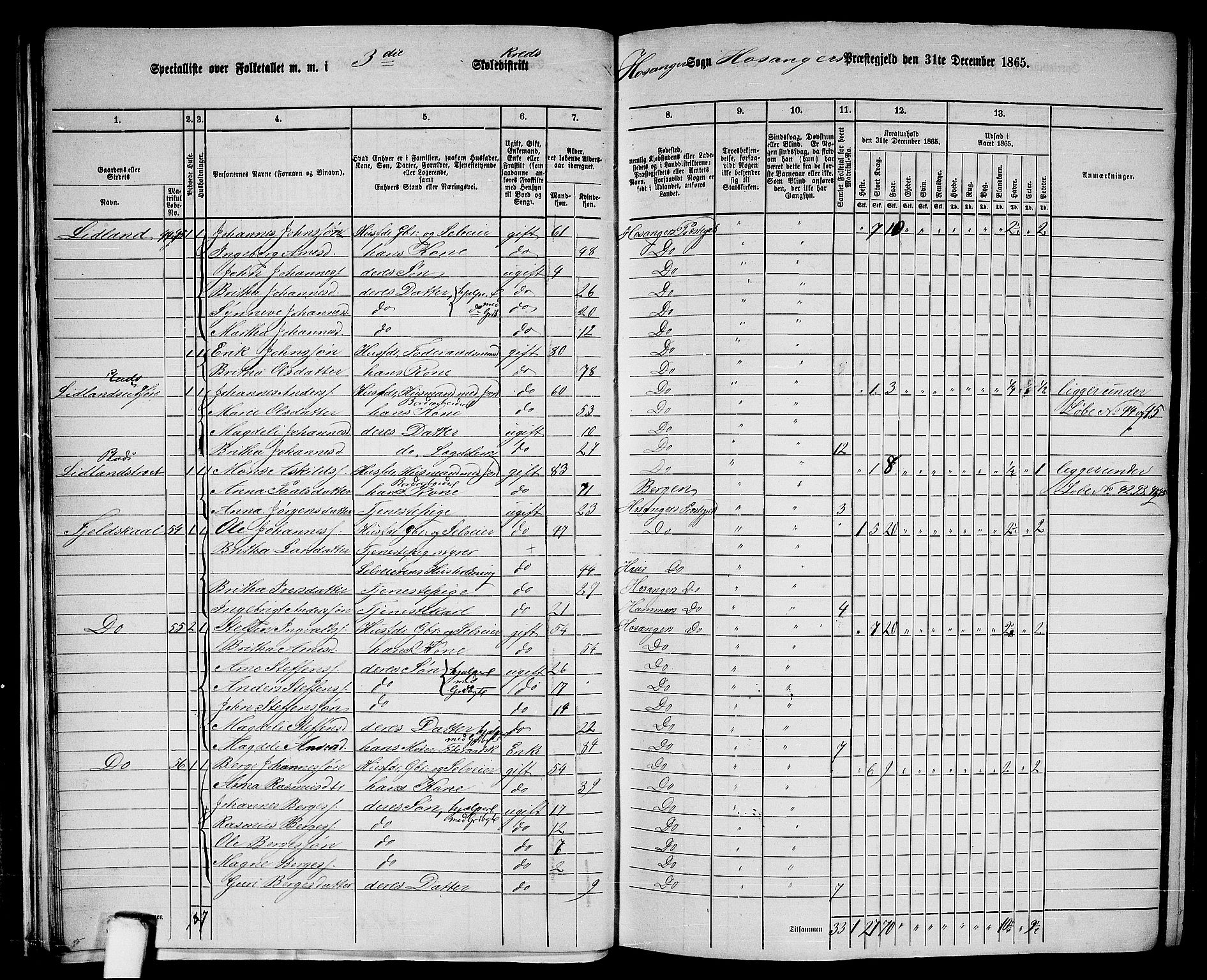 RA, 1865 census for Hosanger, 1865, p. 28