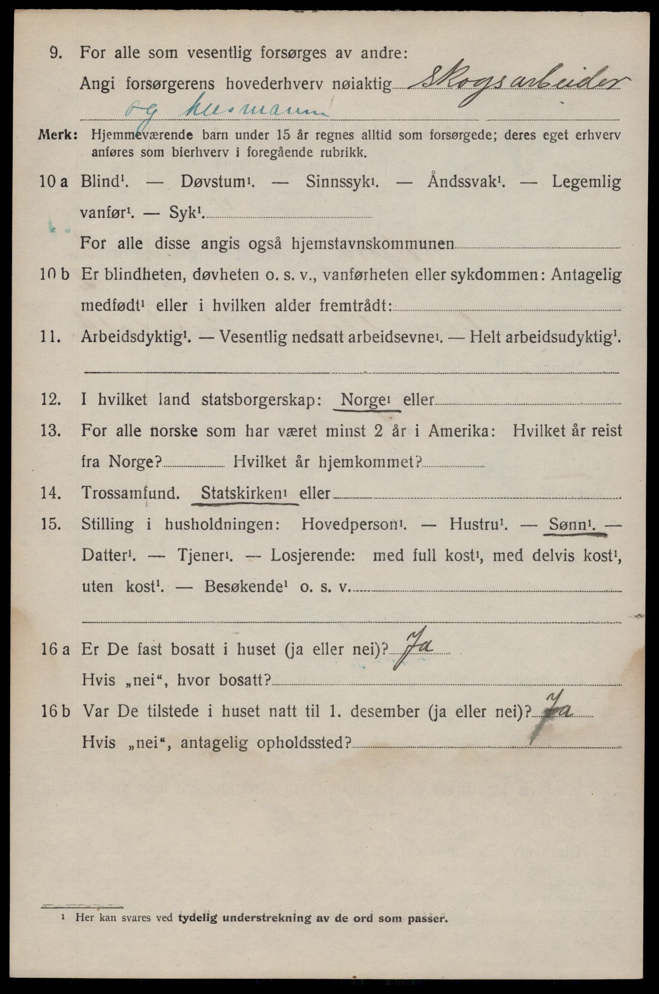 SAKO, 1920 census for Seljord, 1920, p. 4191