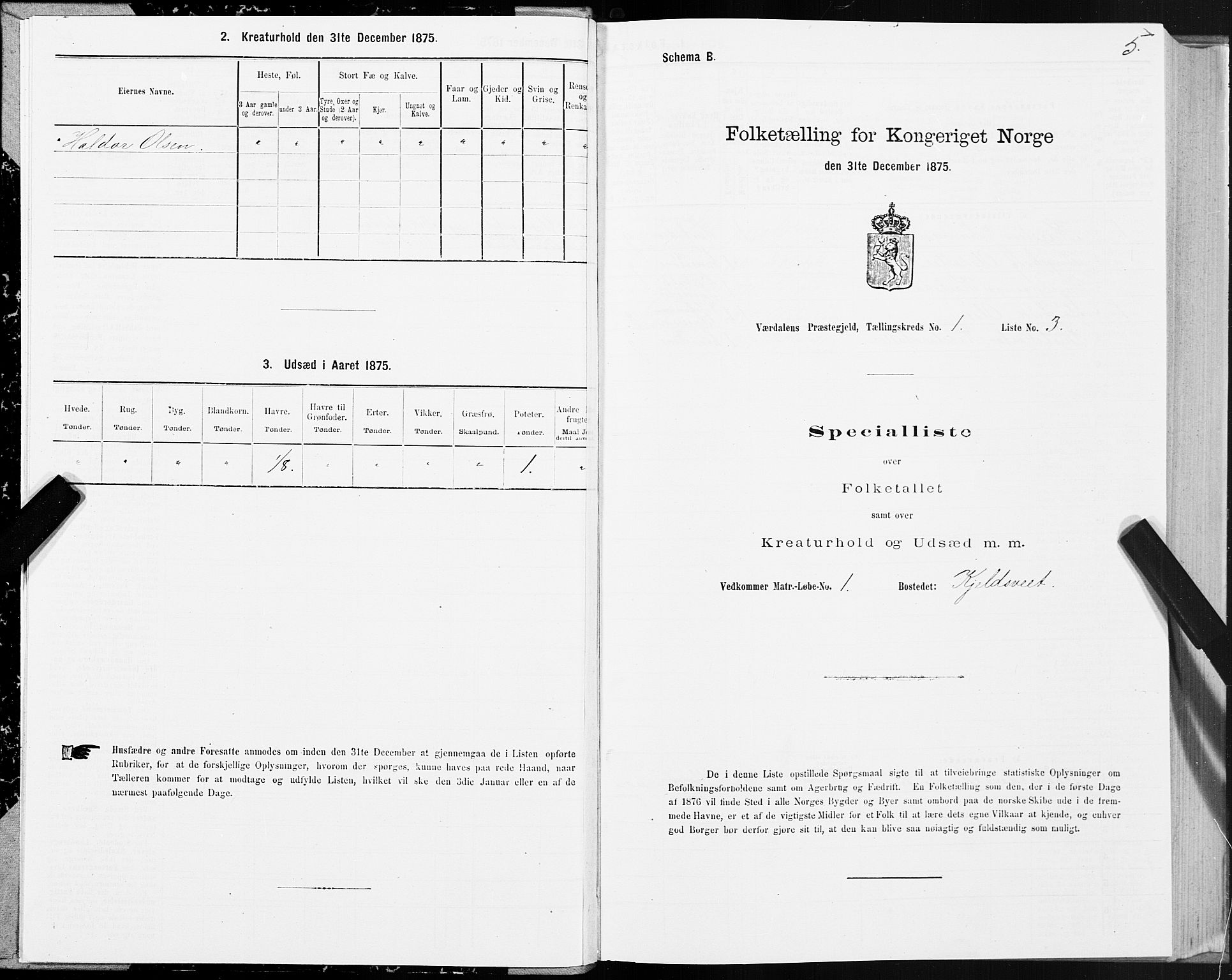 SAT, 1875 census for 1721P Verdal, 1875, p. 1005