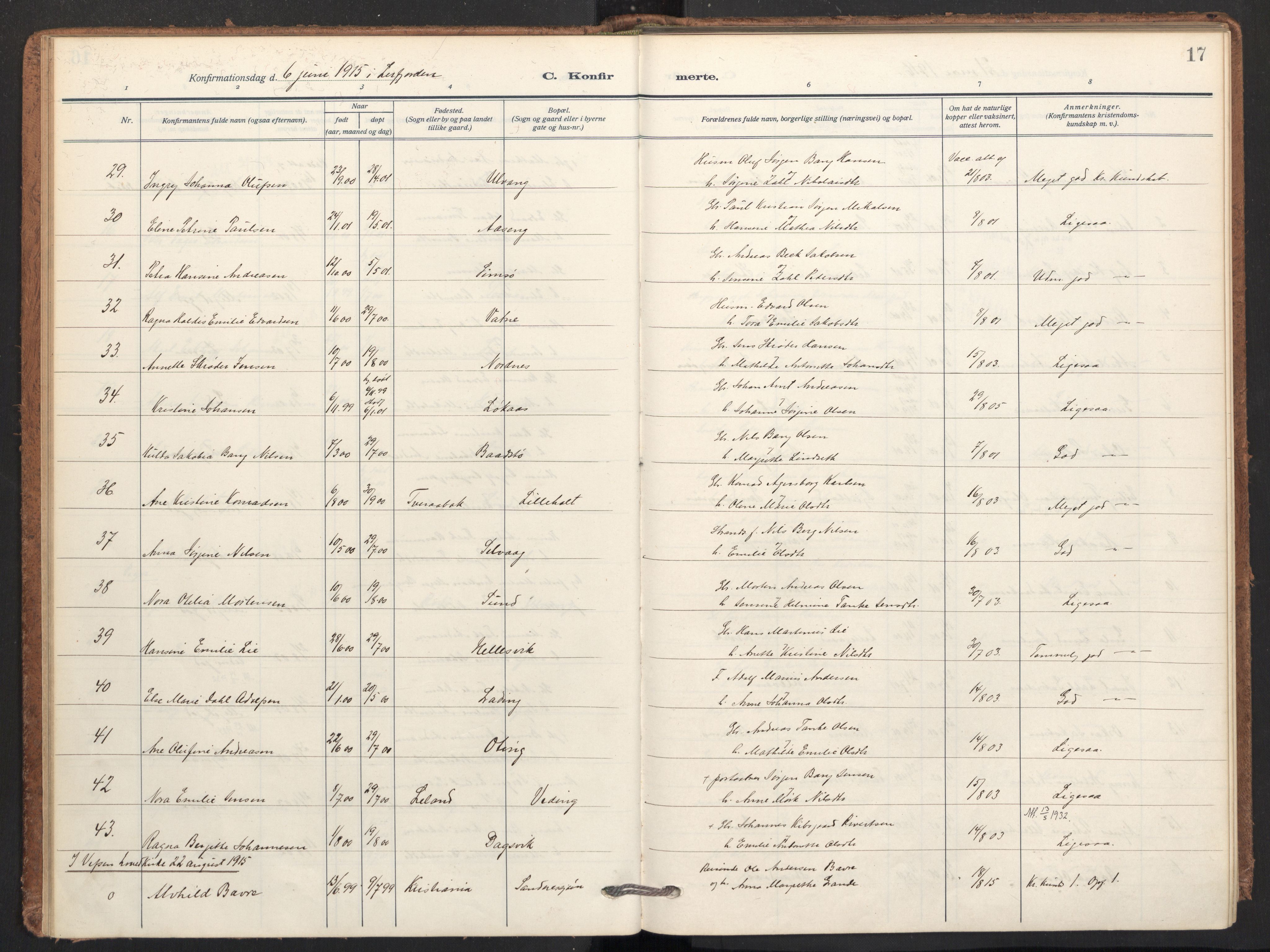 Ministerialprotokoller, klokkerbøker og fødselsregistre - Nordland, AV/SAT-A-1459/831/L0473: Parish register (official) no. 831A04, 1909-1934, p. 17