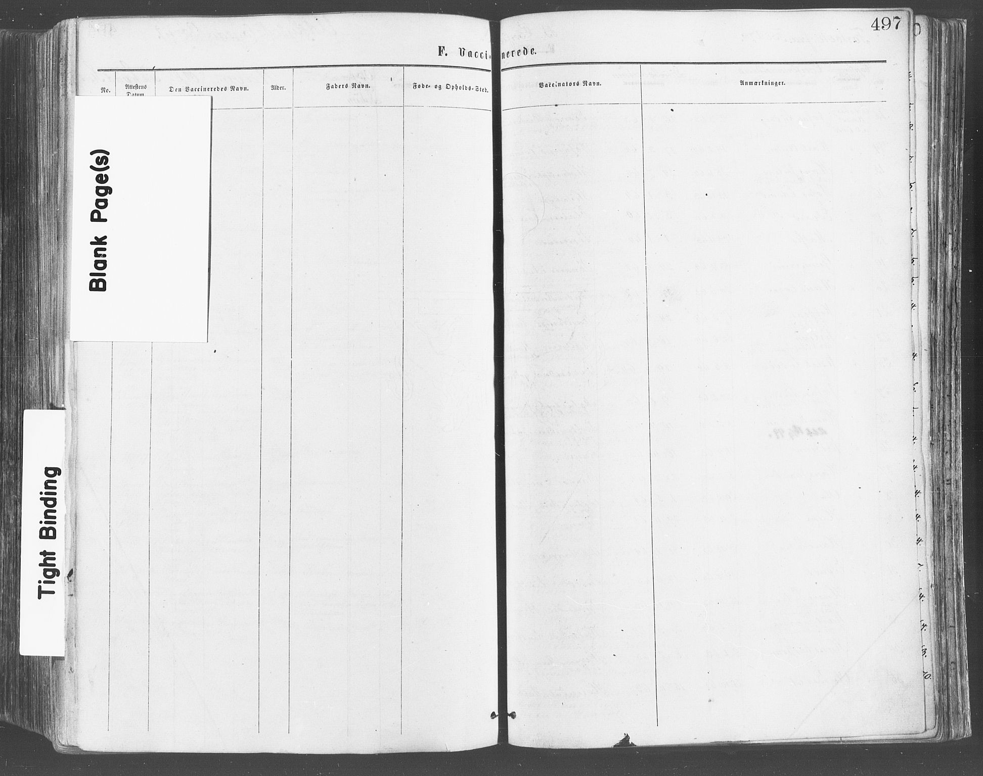 Eidsberg prestekontor Kirkebøker, AV/SAO-A-10905/F/Fa/L0011: Parish register (official) no. I 11, 1867-1878, p. 497