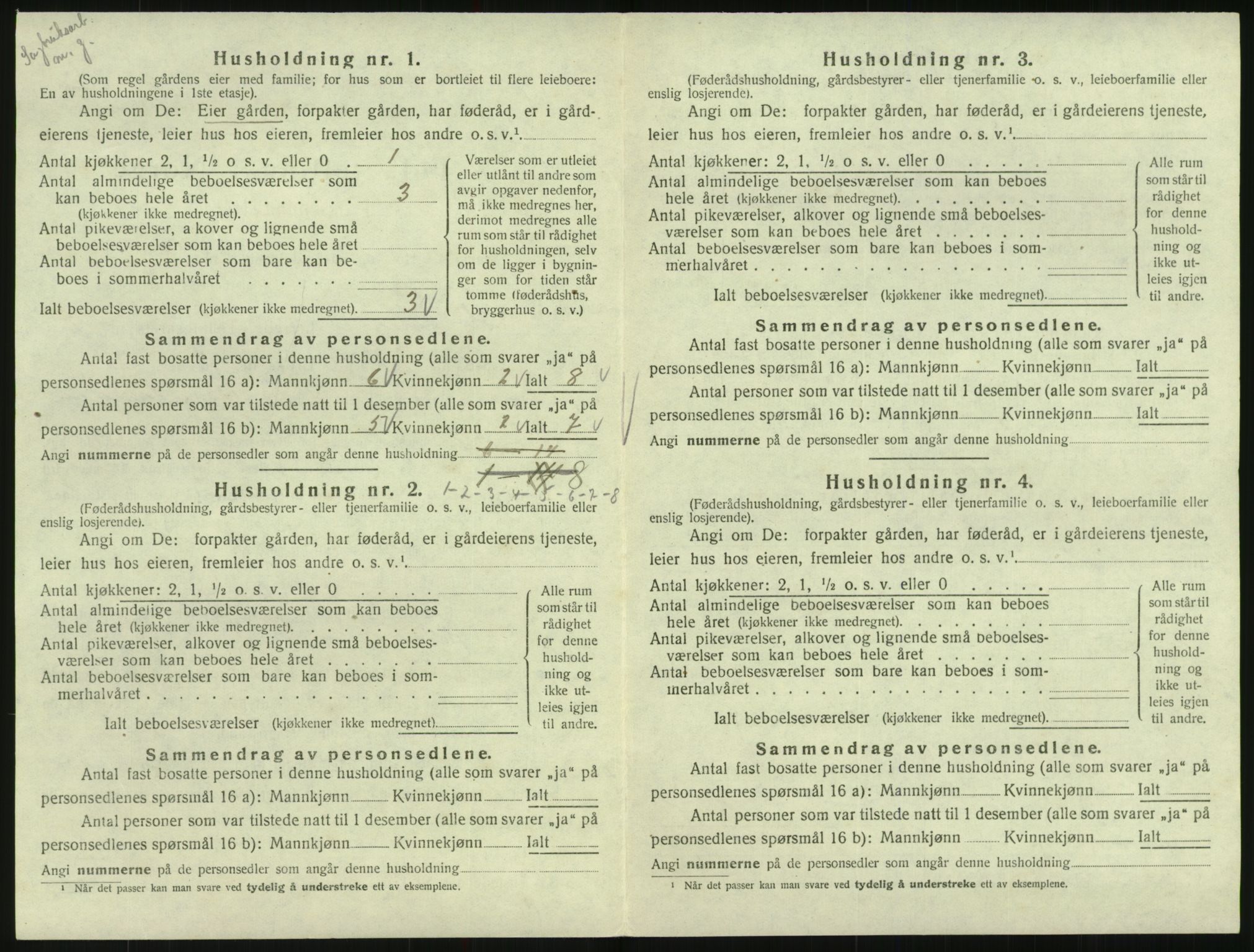 SAK, 1920 census for Hornnes, 1920, p. 96