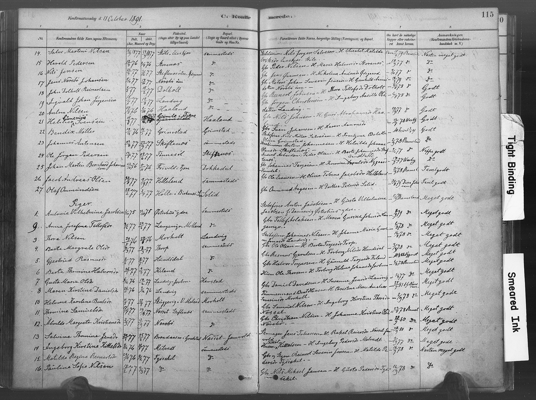 Hommedal sokneprestkontor, AV/SAK-1111-0023/F/Fa/Fab/L0006: Parish register (official) no. A 6, 1878-1897, p. 115