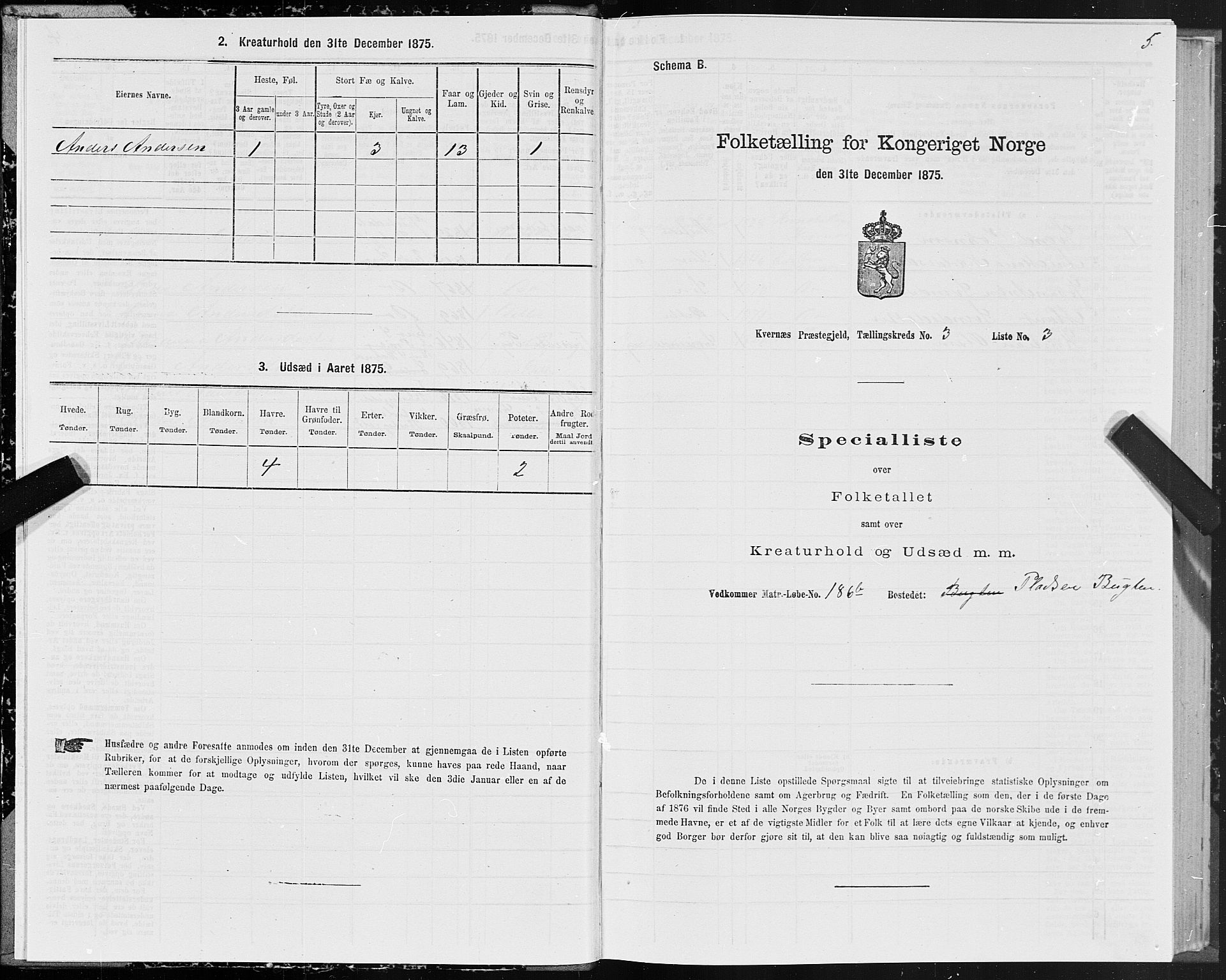 SAT, 1875 census for 1553P Kvernes, 1875, p. 2005