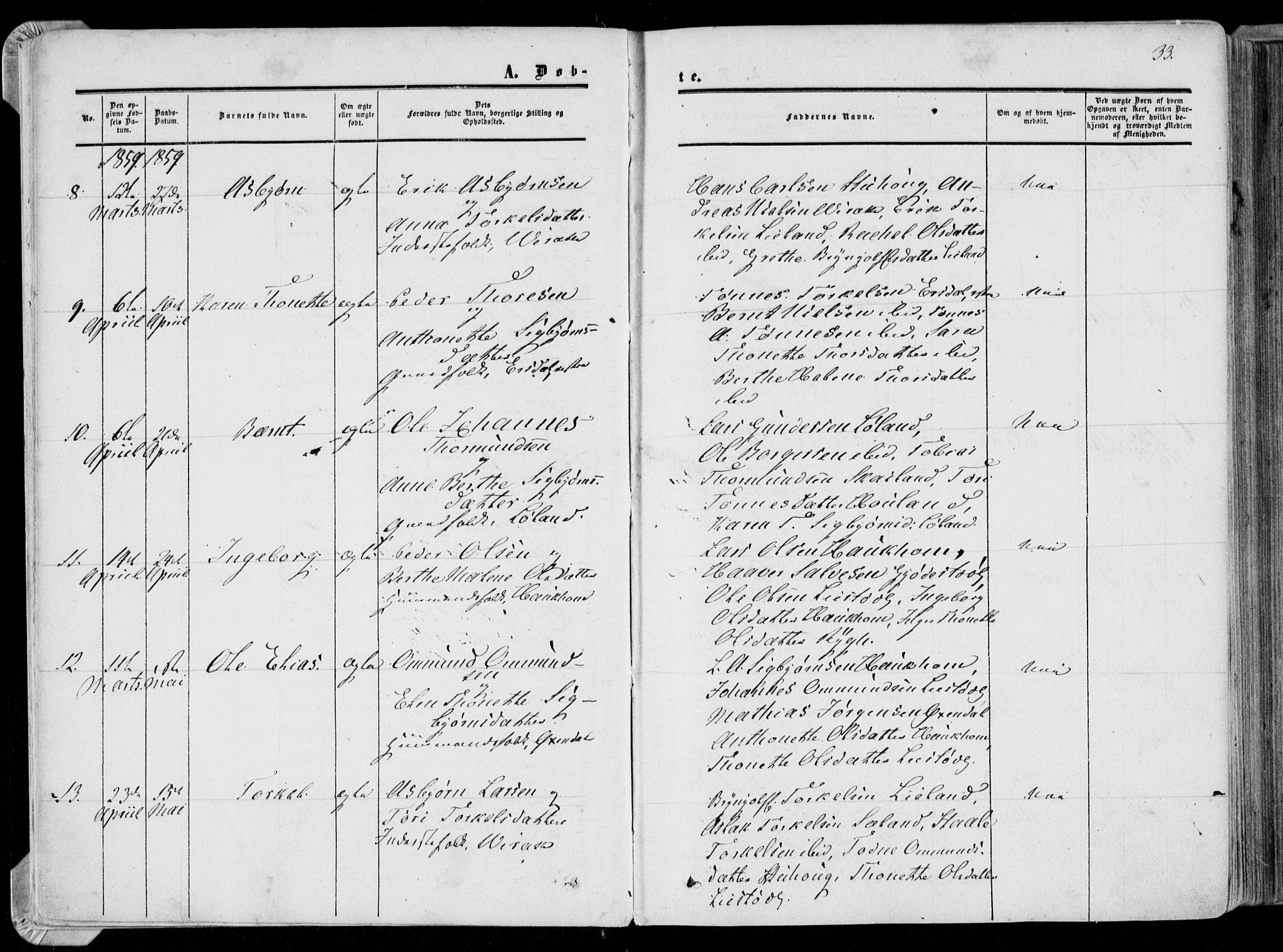 Bakke sokneprestkontor, AV/SAK-1111-0002/F/Fa/Faa/L0006: Parish register (official) no. A 6, 1855-1877, p. 33