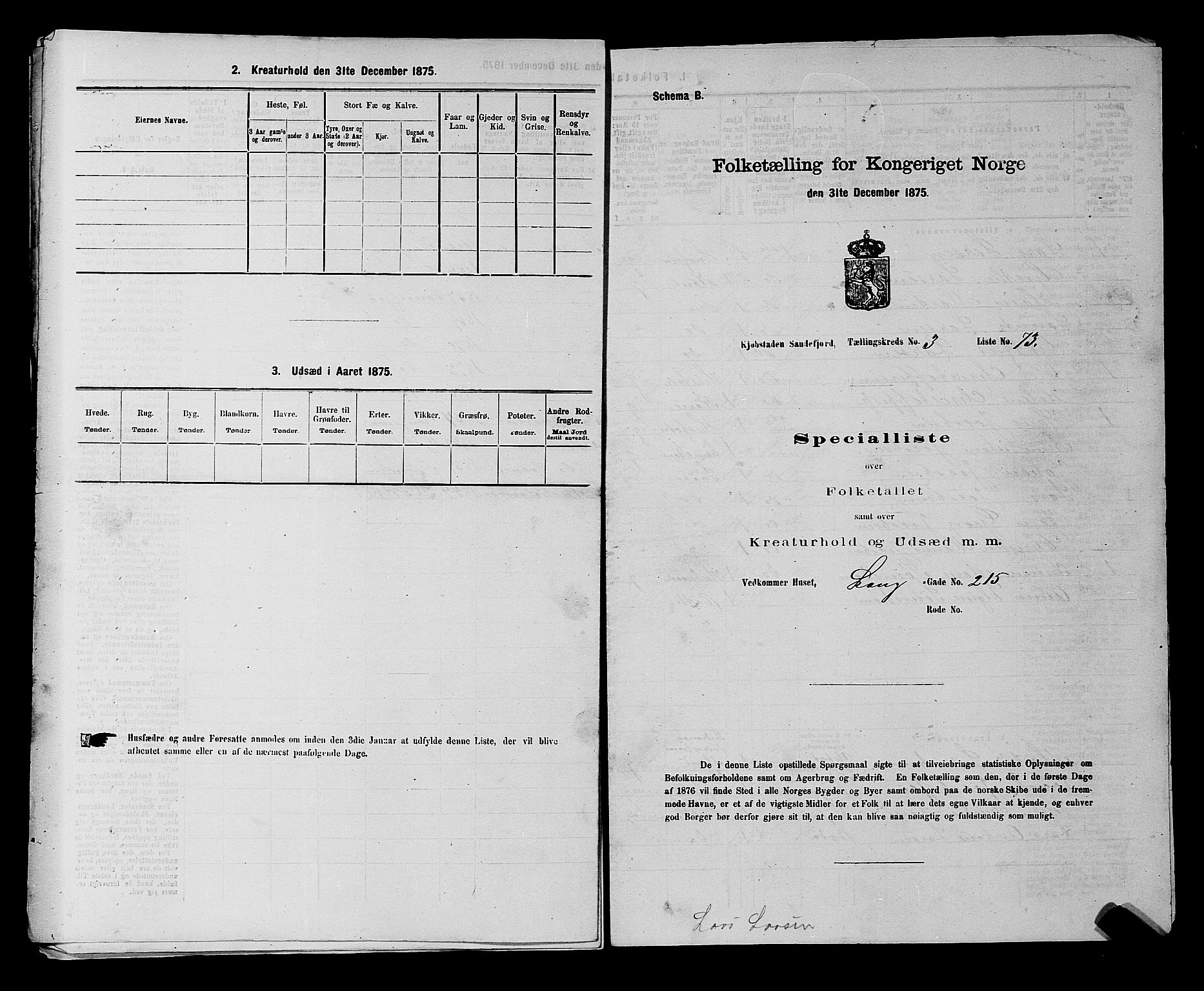 SAKO, 1875 census for 0706B Sandeherred/Sandefjord, 1875, p. 507