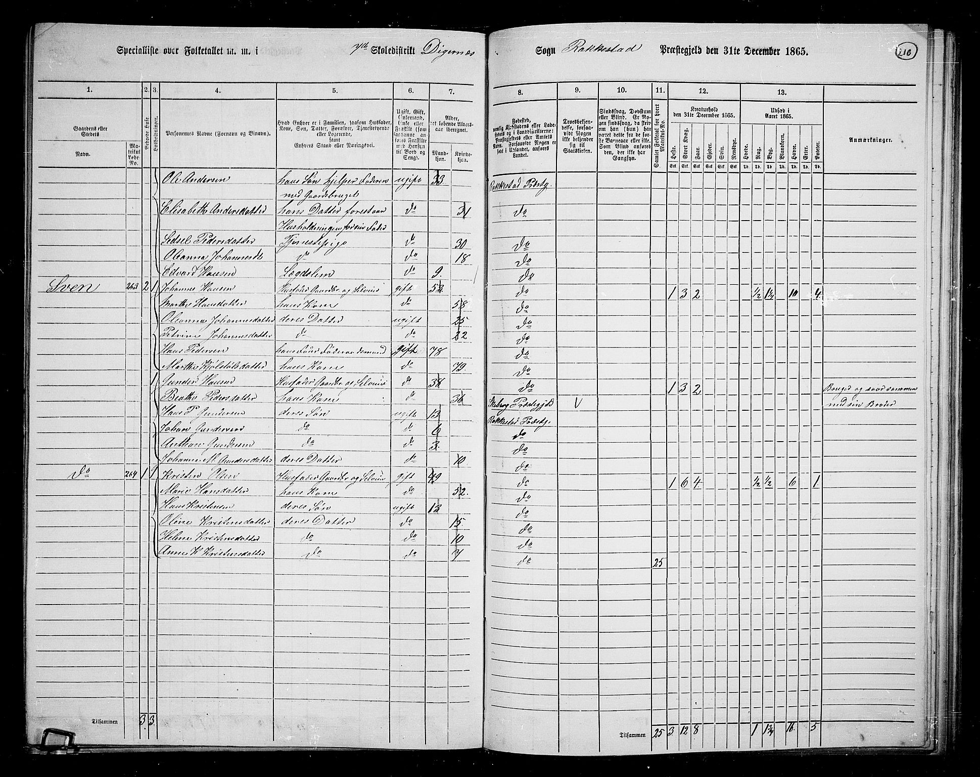 RA, 1865 census for Rakkestad, 1865, p. 202