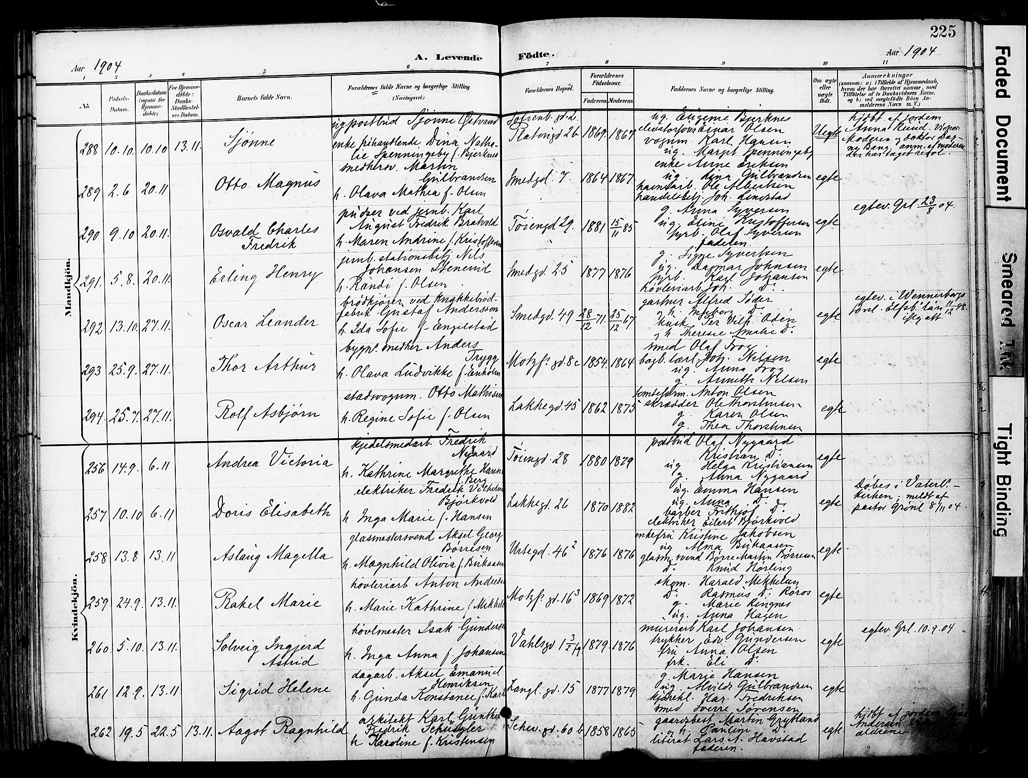 Grønland prestekontor Kirkebøker, AV/SAO-A-10848/F/Fa/L0014: Parish register (official) no. 14, 1900-1911, p. 225