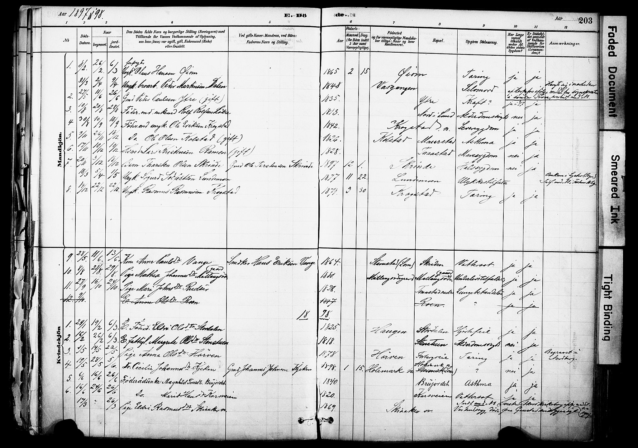 Skjåk prestekontor, SAH/PREST-072/H/Ha/Haa/L0003: Parish register (official) no. 3, 1880-1907, p. 203