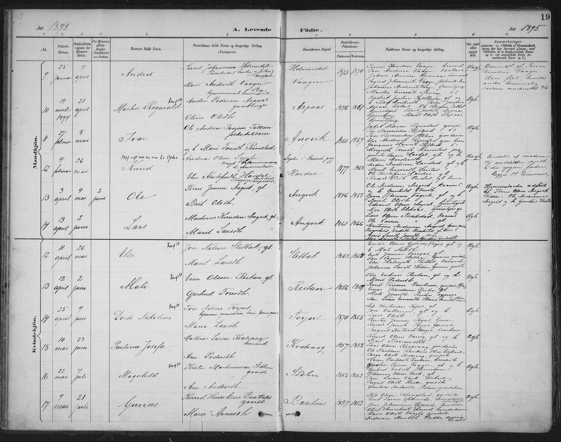 Ministerialprotokoller, klokkerbøker og fødselsregistre - Møre og Romsdal, AV/SAT-A-1454/586/L0988: Parish register (official) no. 586A14, 1893-1905, p. 19