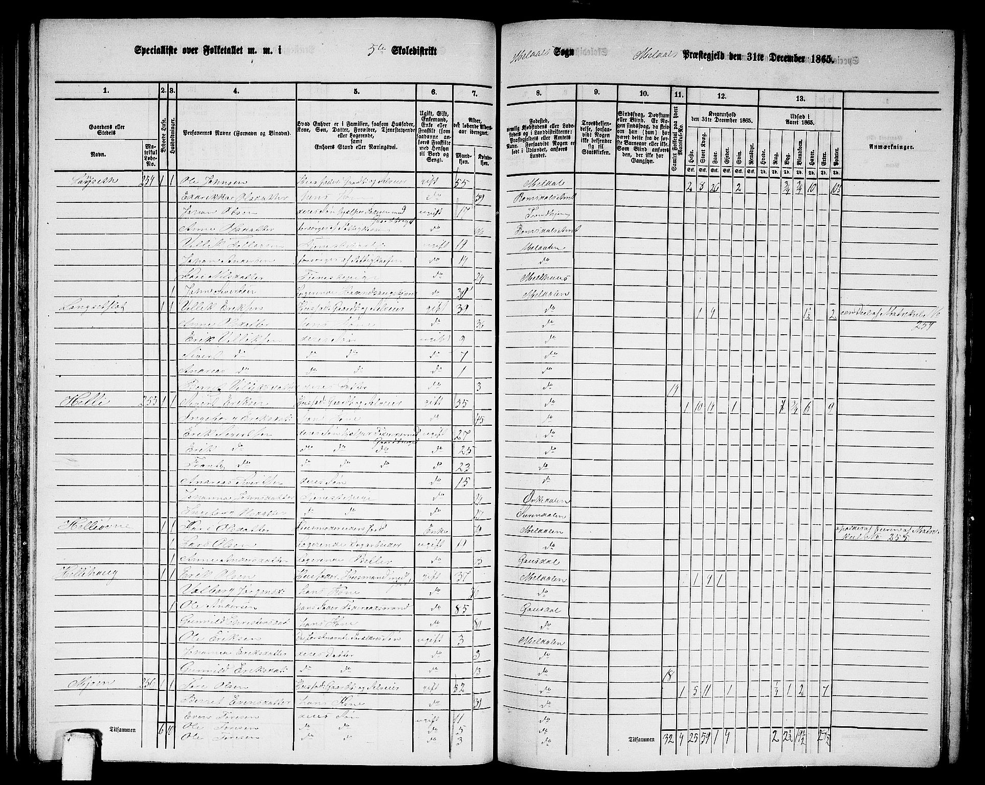 RA, 1865 census for Meldal, 1865, p. 117