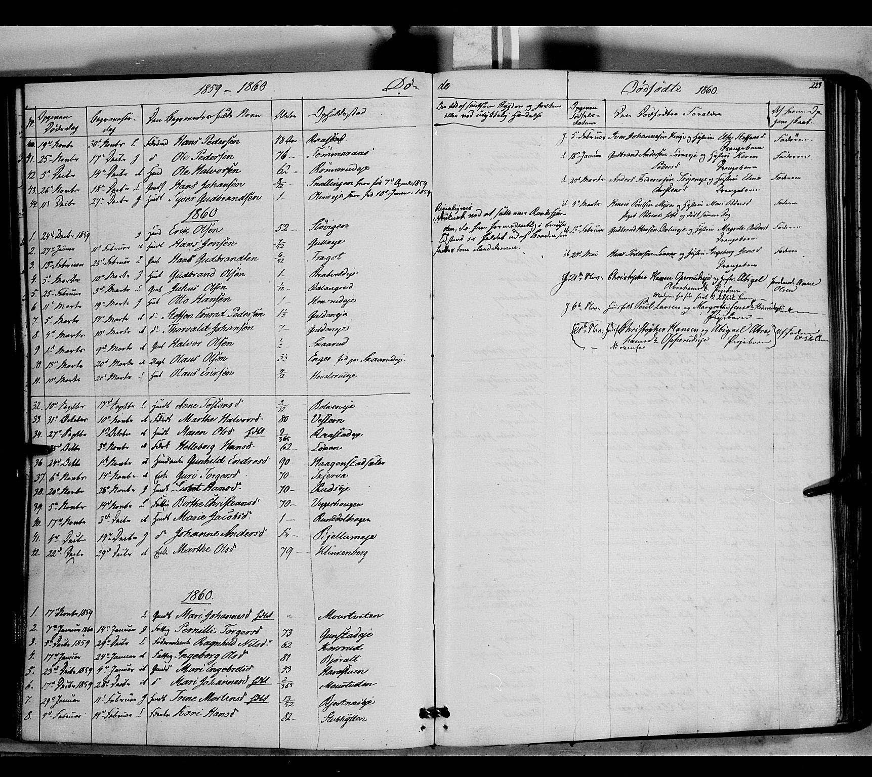 Jevnaker prestekontor, SAH/PREST-116/H/Ha/Haa/L0007: Parish register (official) no. 7, 1858-1876, p. 223