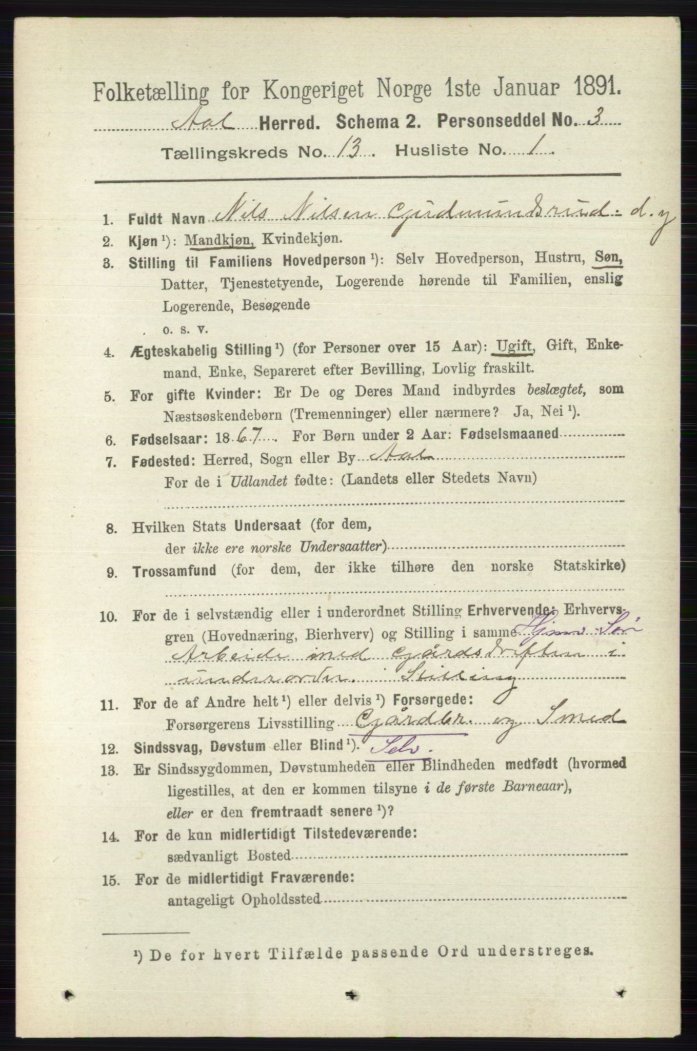 RA, 1891 census for 0619 Ål, 1891, p. 3260